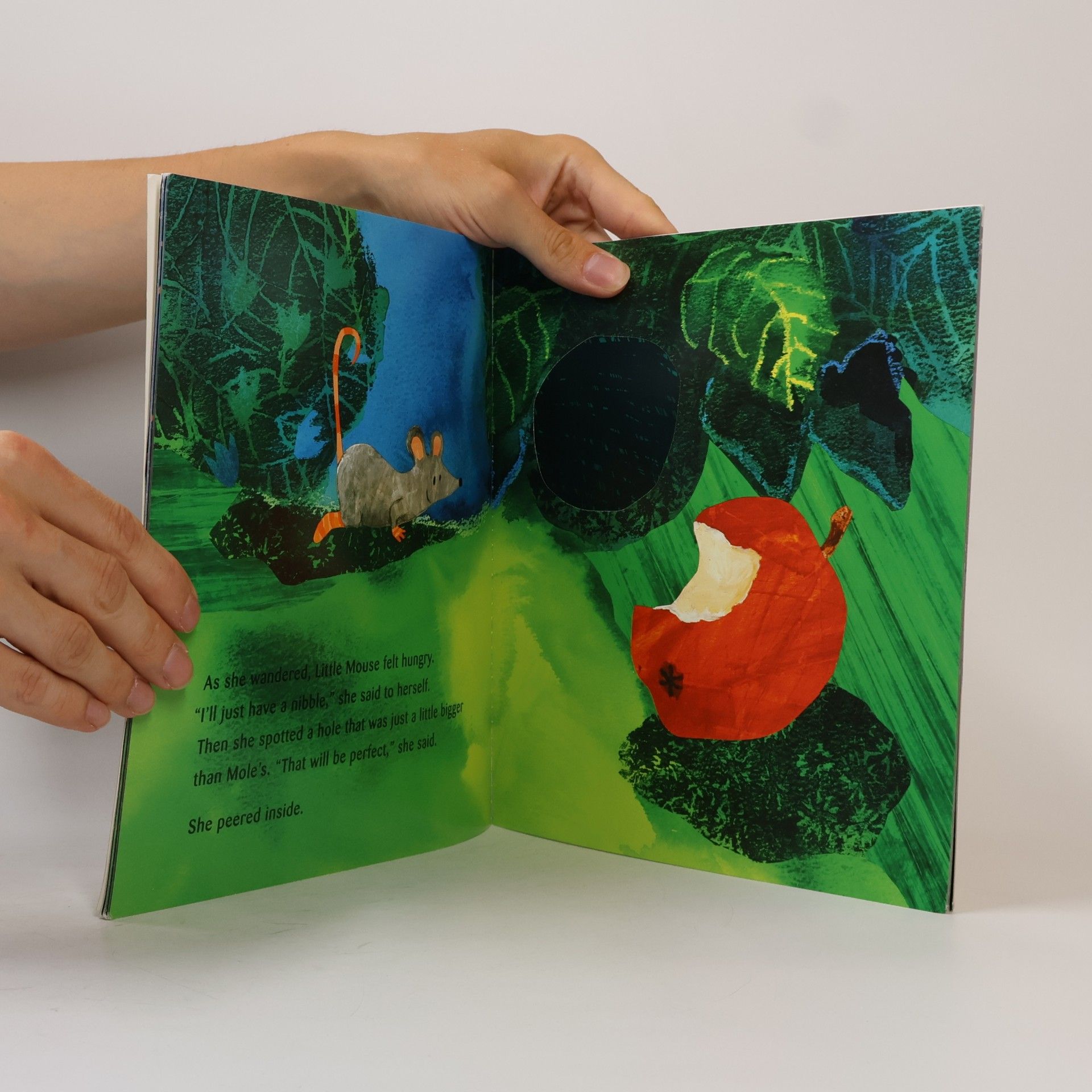 Horacek Petr A new house for Mouse