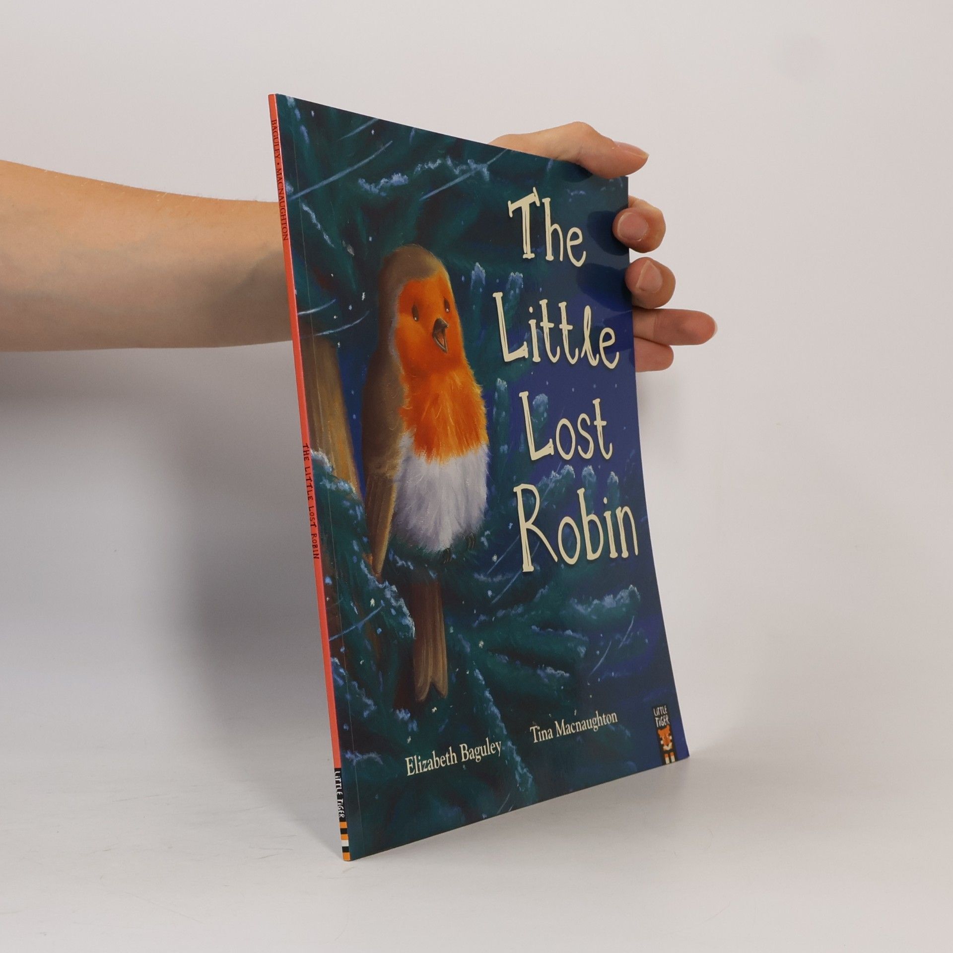 The Little Lost Robin