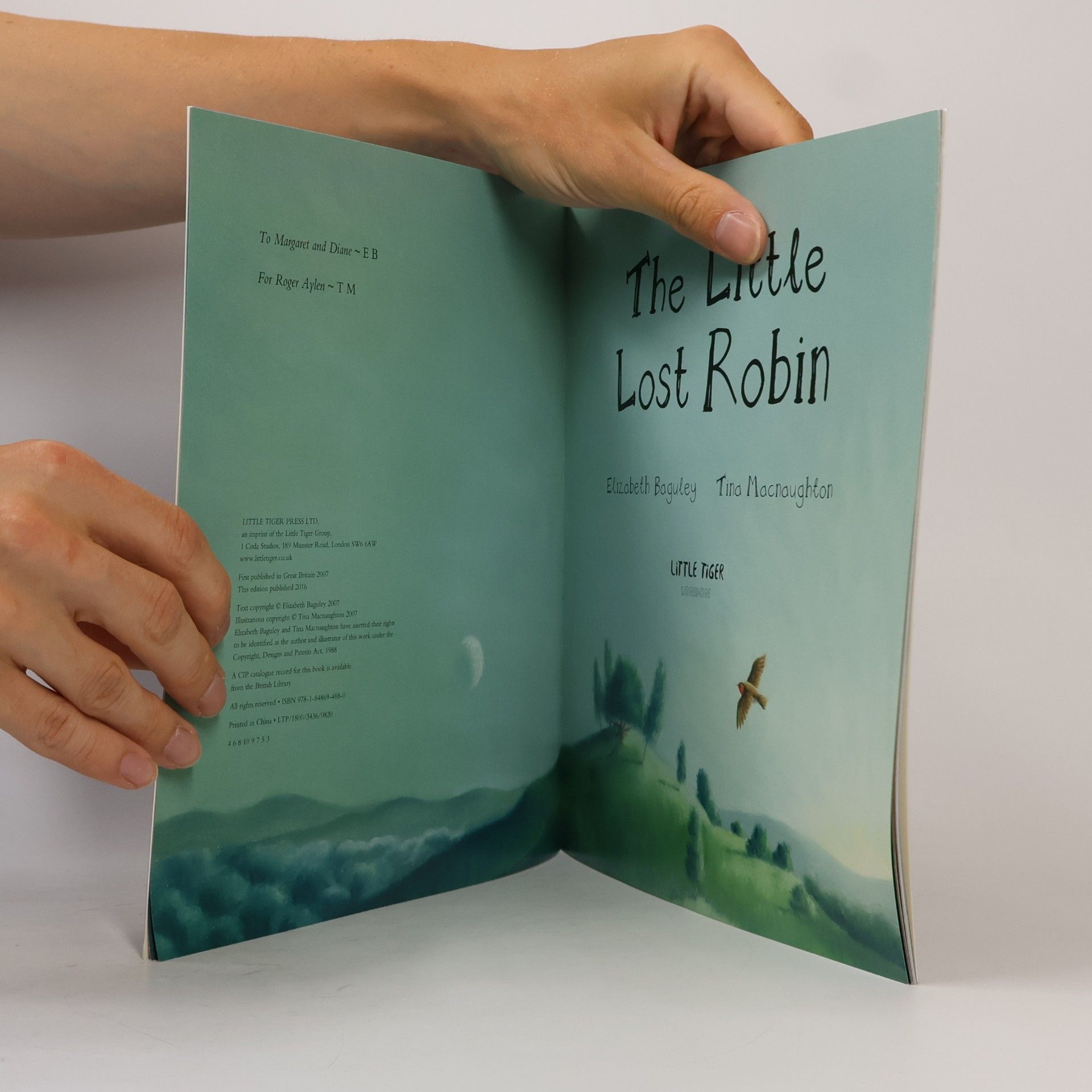 Elizabeth Baguley The Little Lost Robin