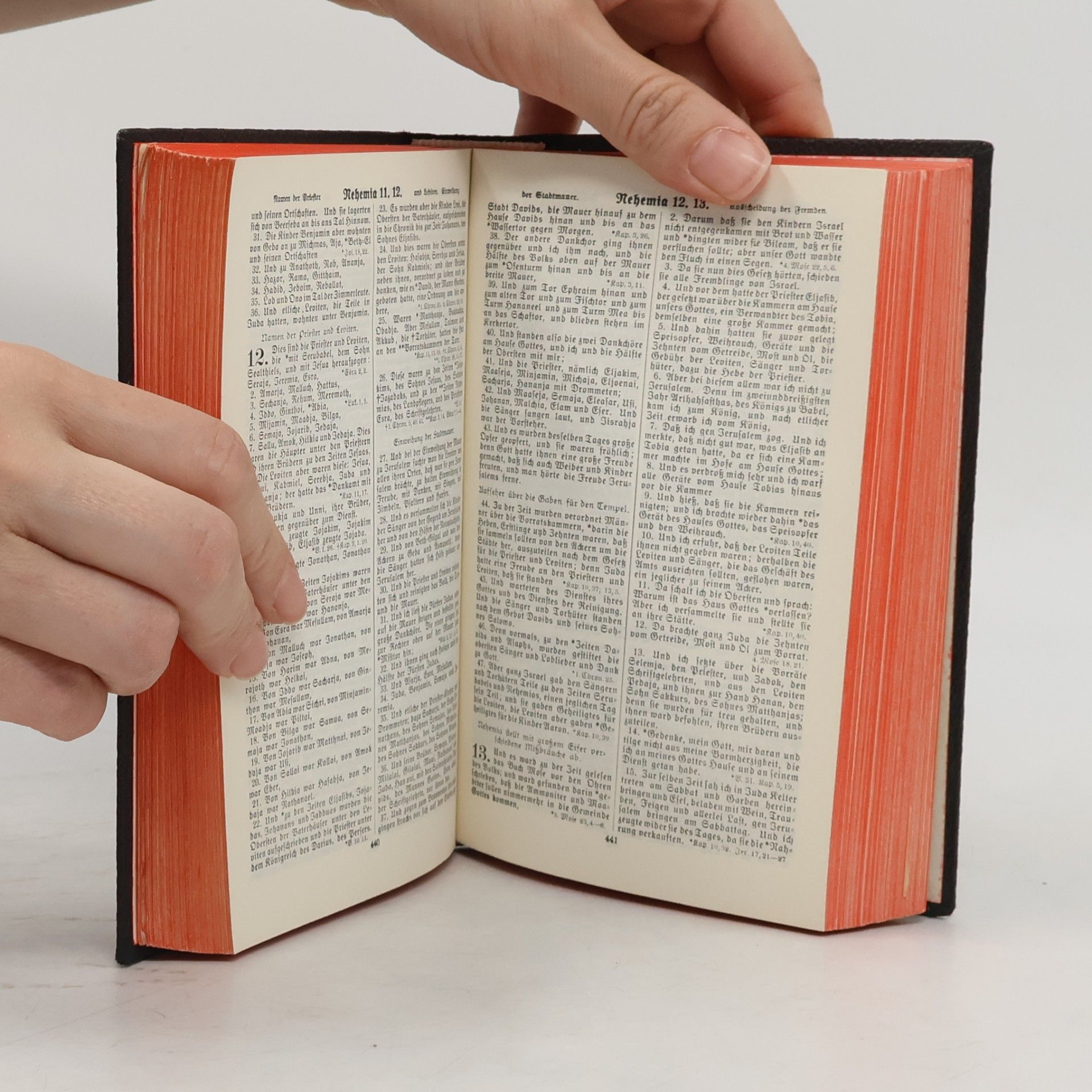 Martin Luther Die Heilige Schrift nach der deutschen Übersetzung D. Martin Luthers