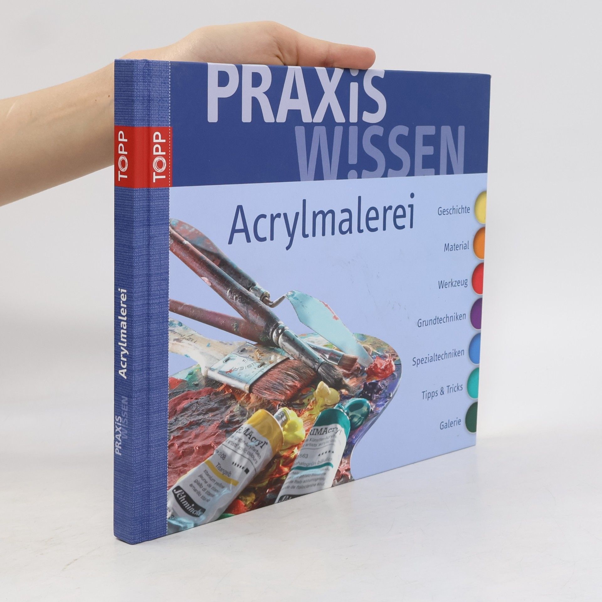 Bernd Klimmer Praxis-Wissen Acrylmalerei