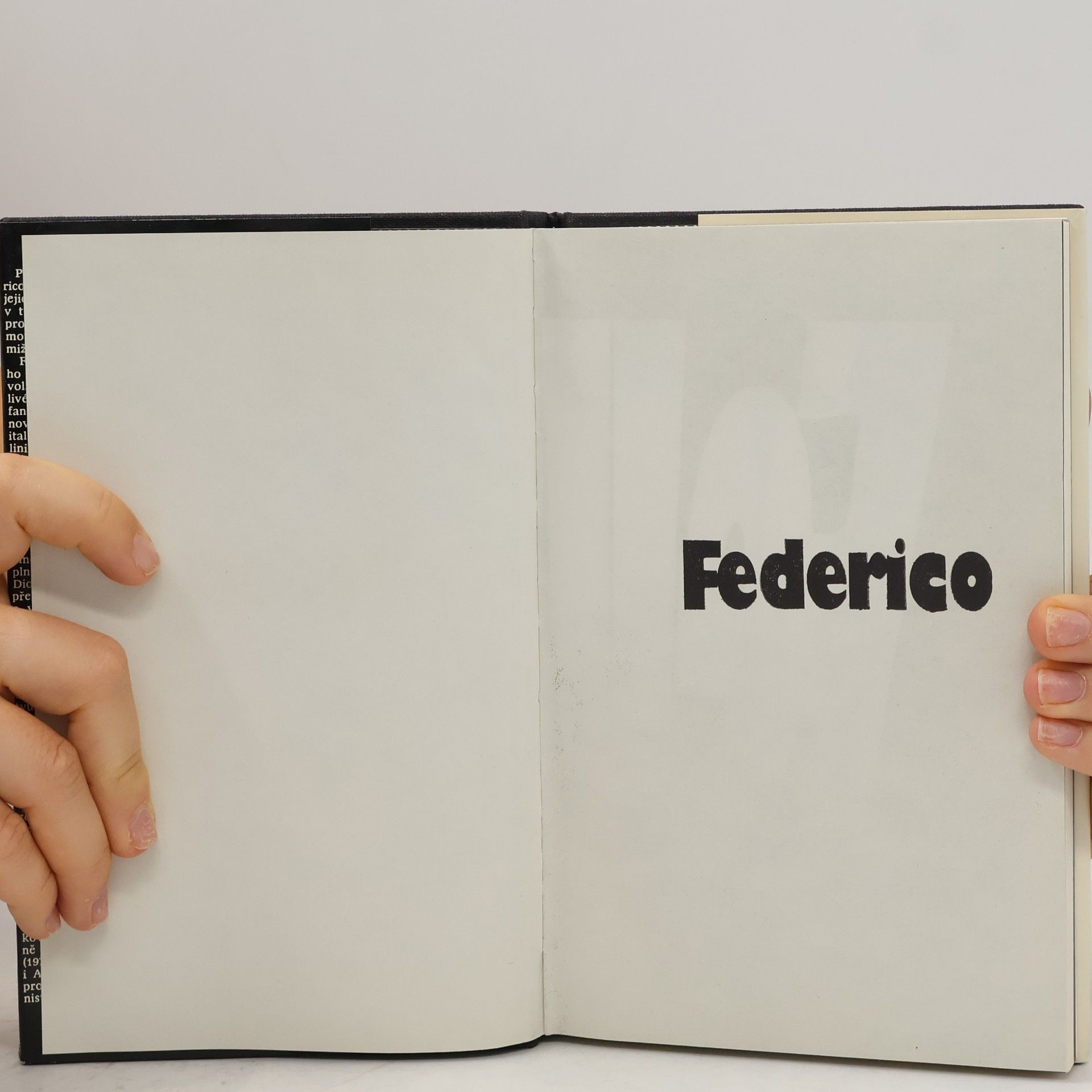 Federico Fellini Dělat film