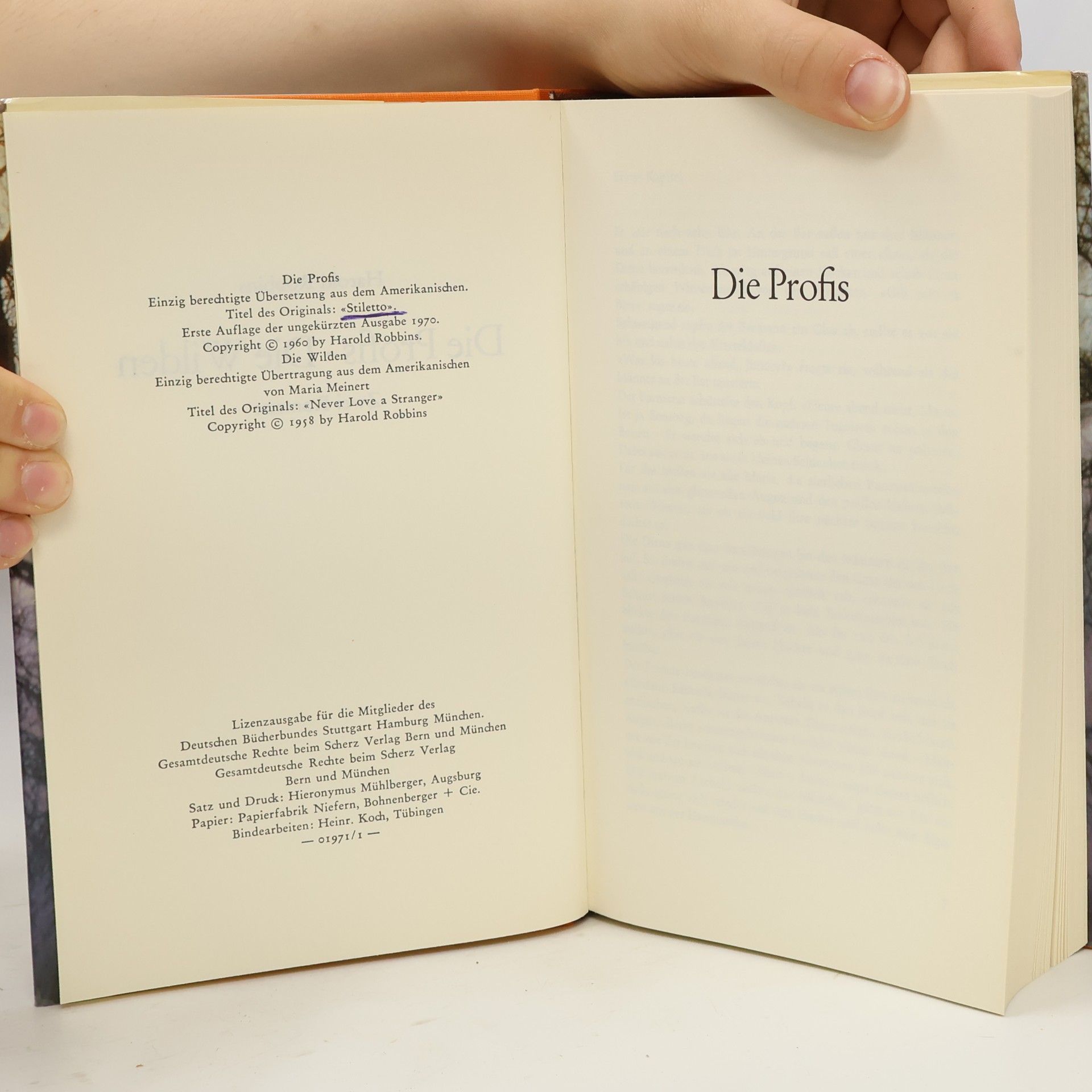 Harold Robbins Die Profis. Die Wilden