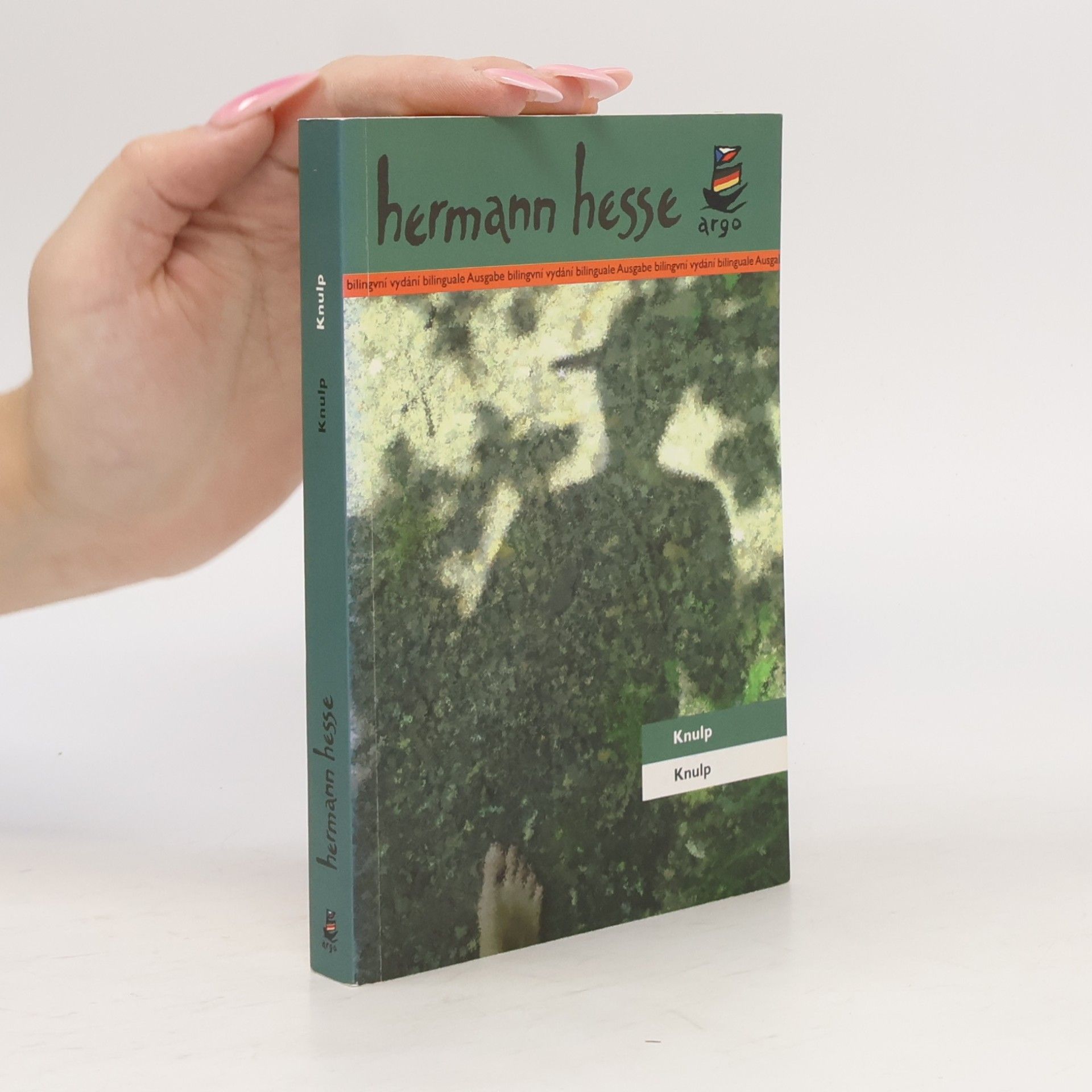 Hermann Hesse Knulp
