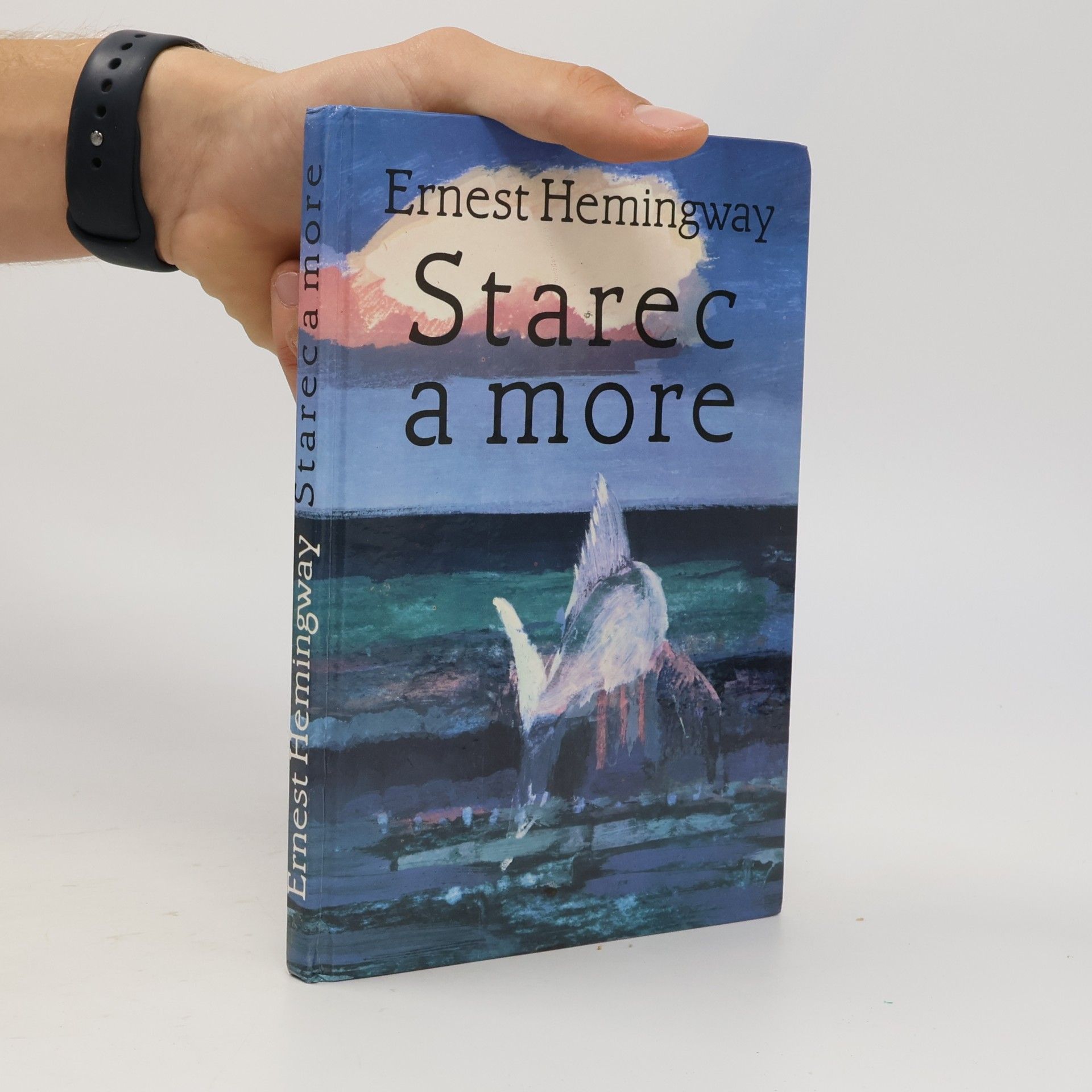 Ernest Hemingway Starec a more