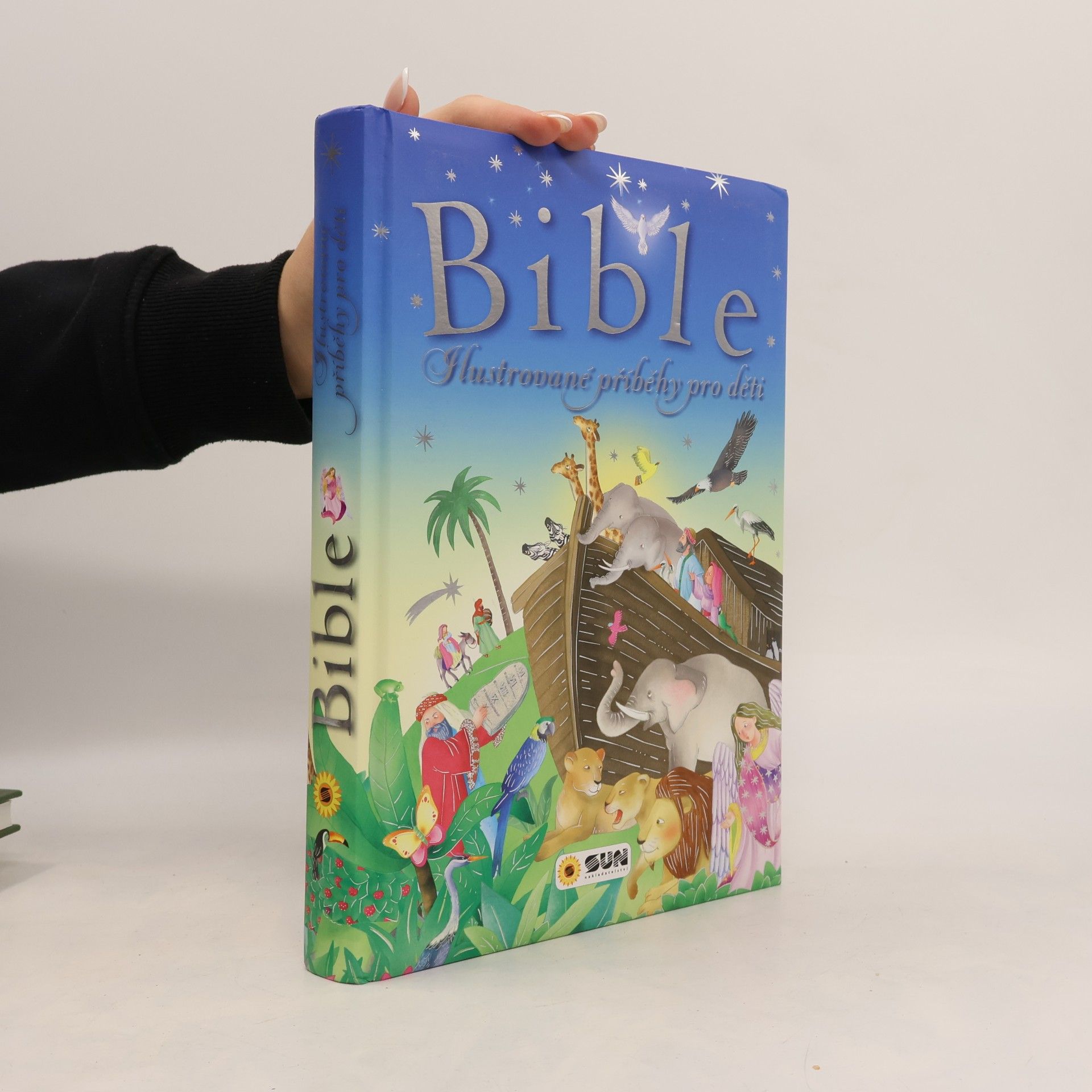 Autorenkollektiv Bible: ilustrované příběhy pro děti