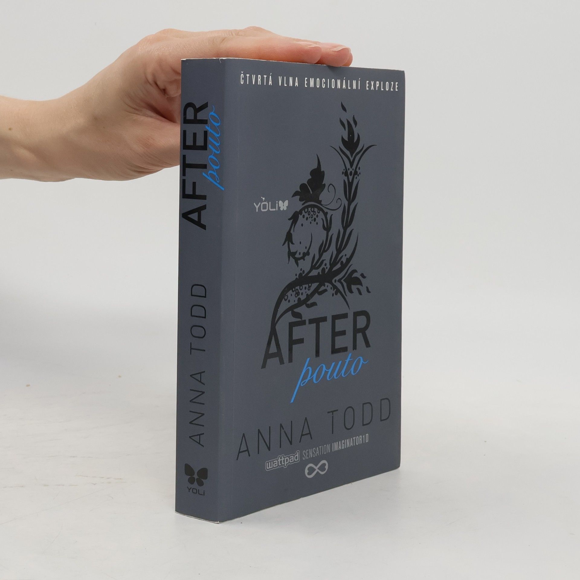 Anna Todd After. Pouto