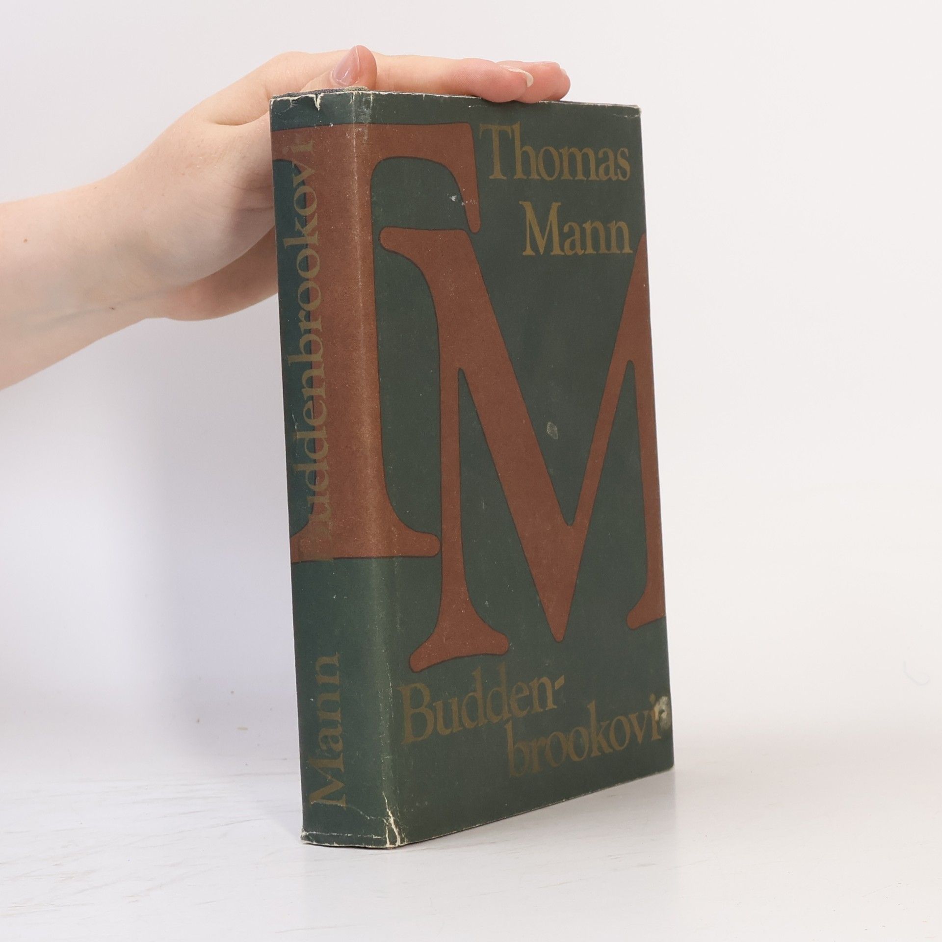 Thomas Mann Buddenbrookovi