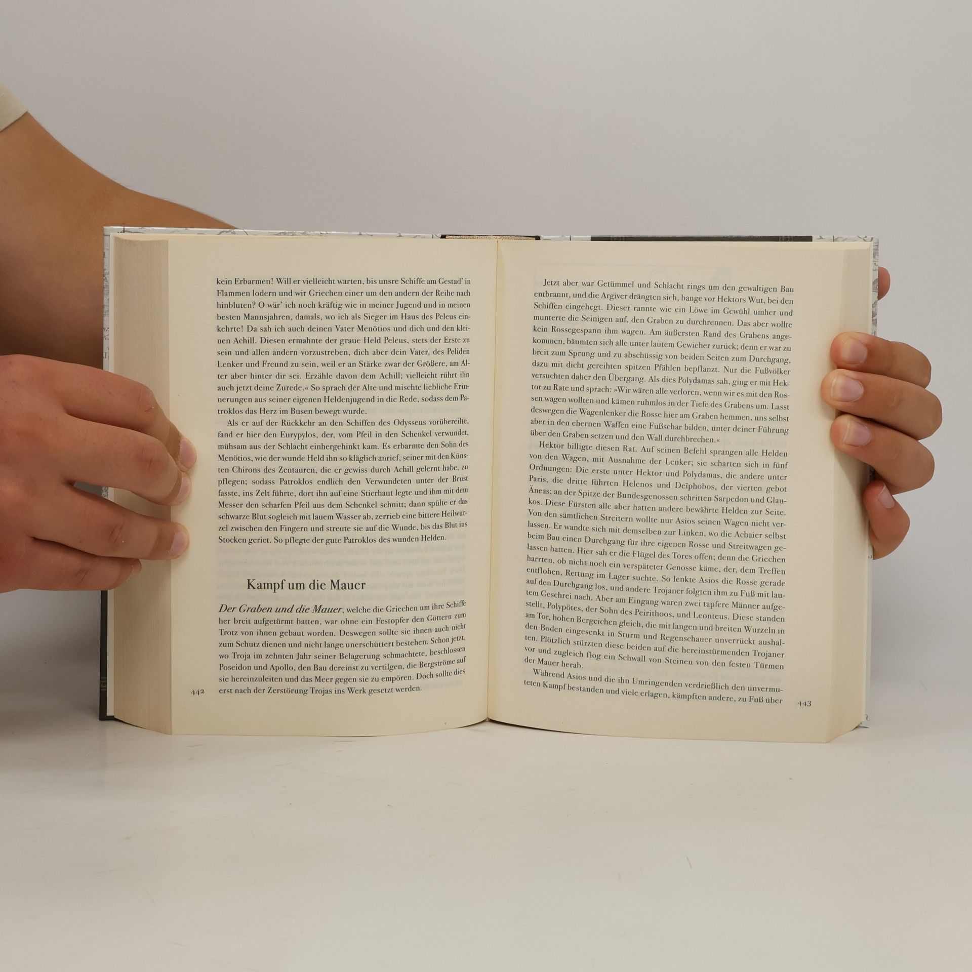 Gustav Schwab Sagen des klassischen Altertums