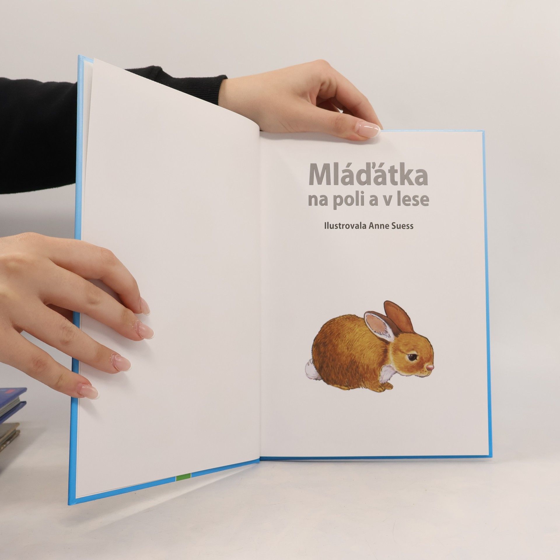 Autorenkollektiv Mláďatká na poli a v lese