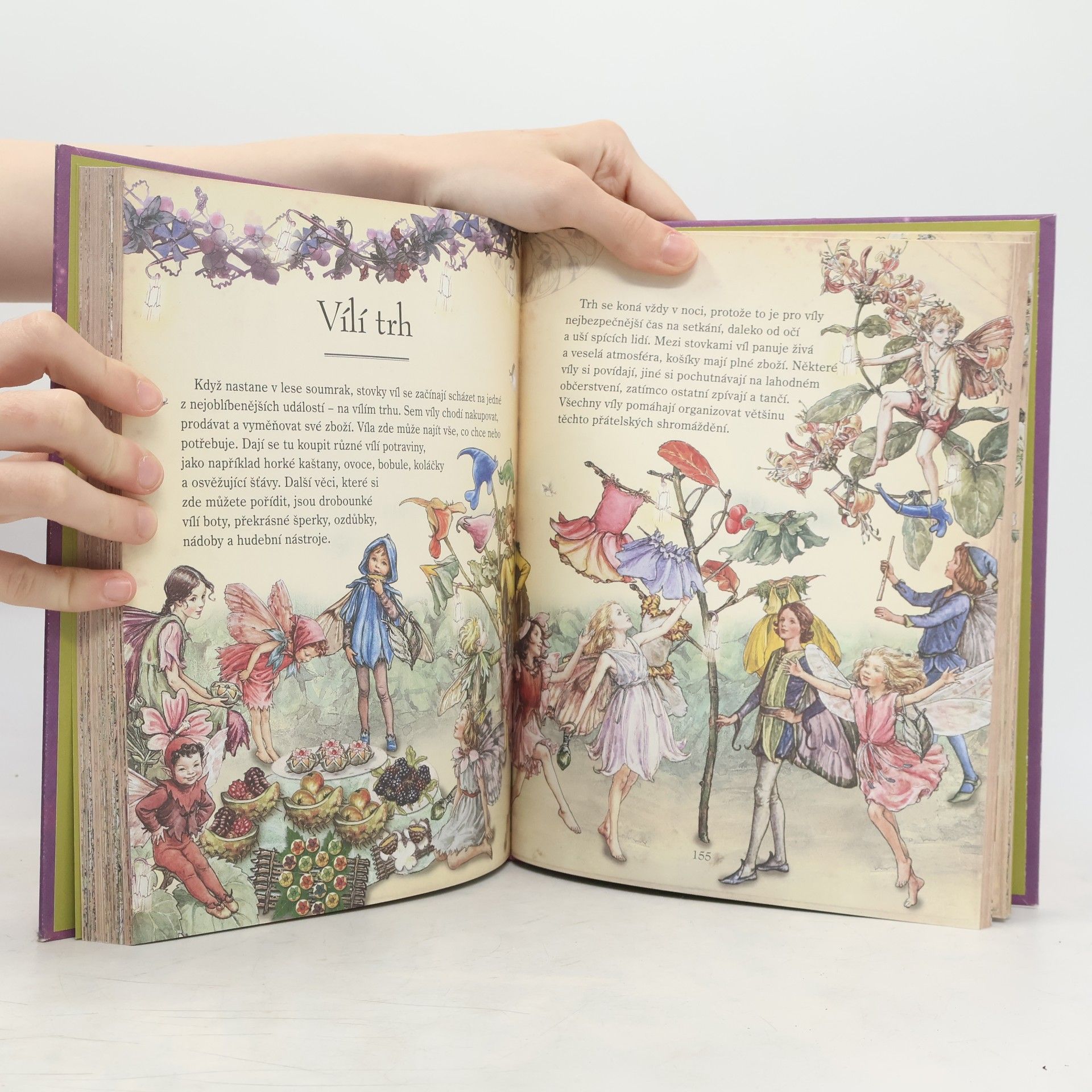 Cicely Mary Barker Květinové víly a jejich tajemný svět