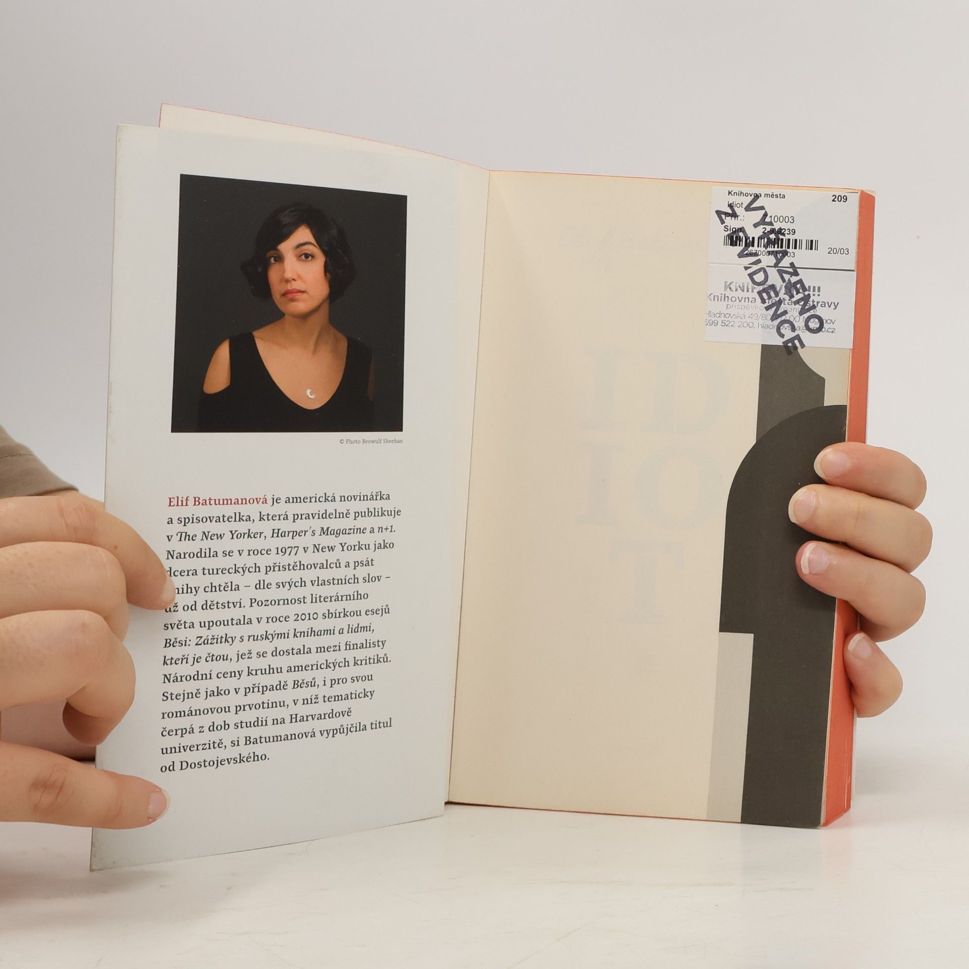 Elif Batuman Idiot
