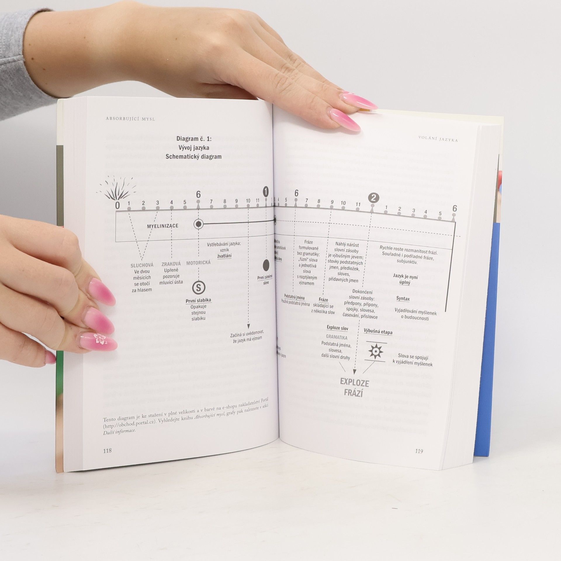 Maria Montessori Absorbující mysl