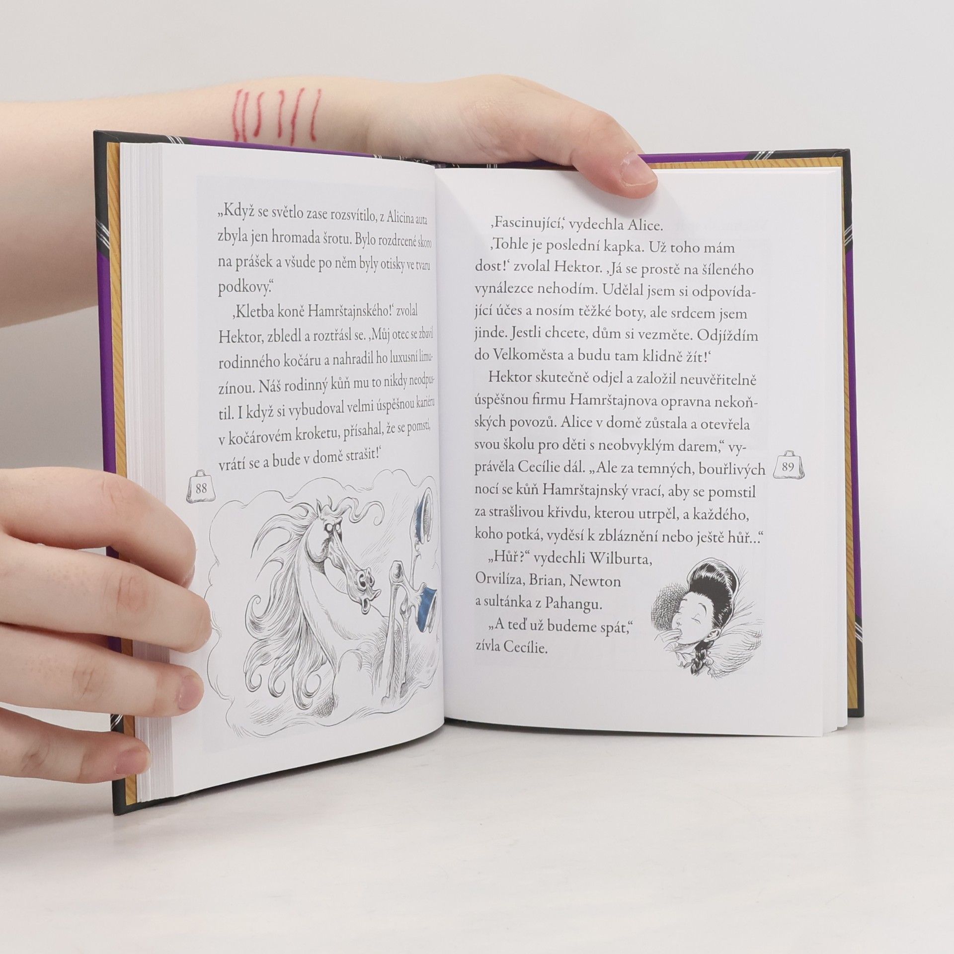 Chris Riddell Otolína ve škole