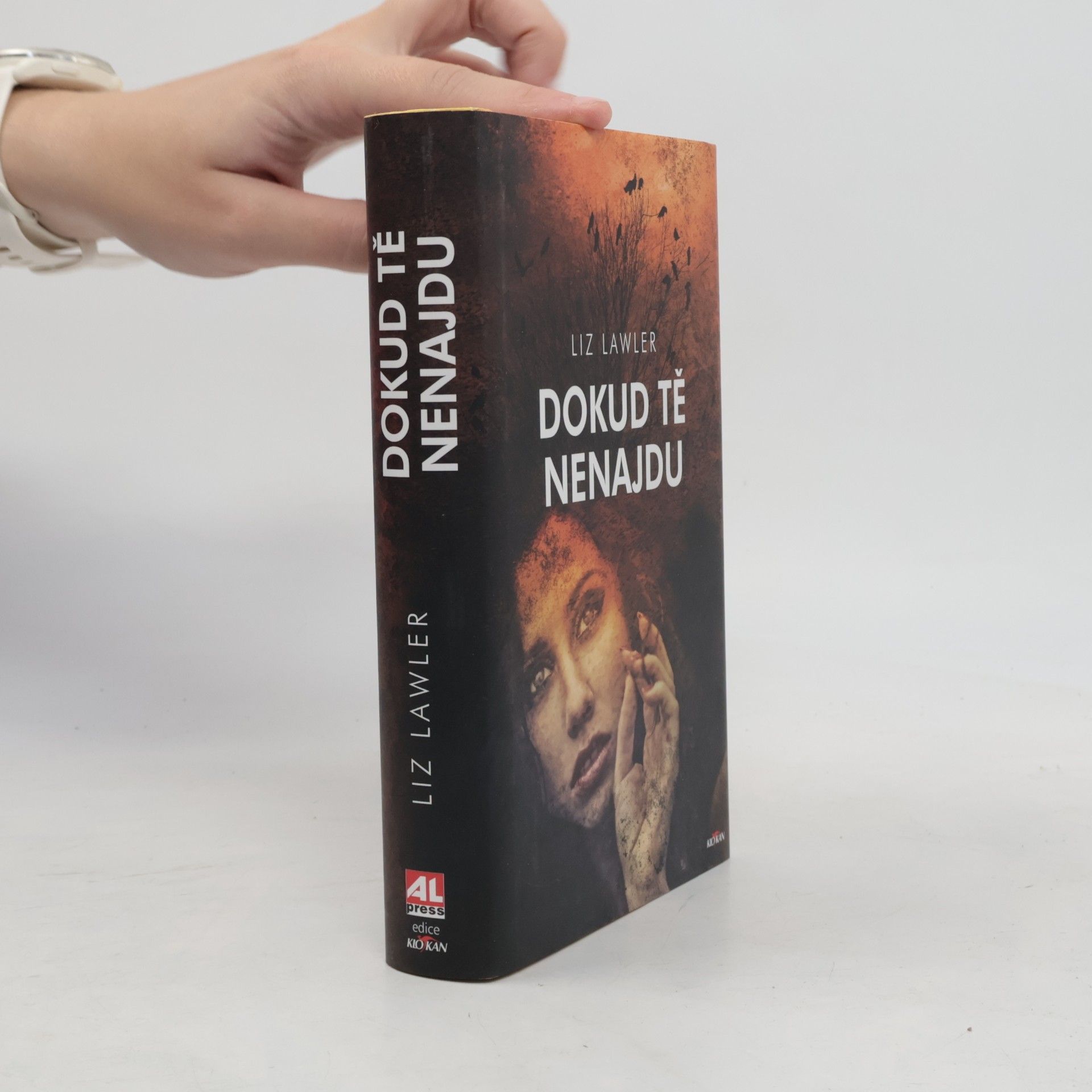 Liz Lawler Dokud tě nenajdu