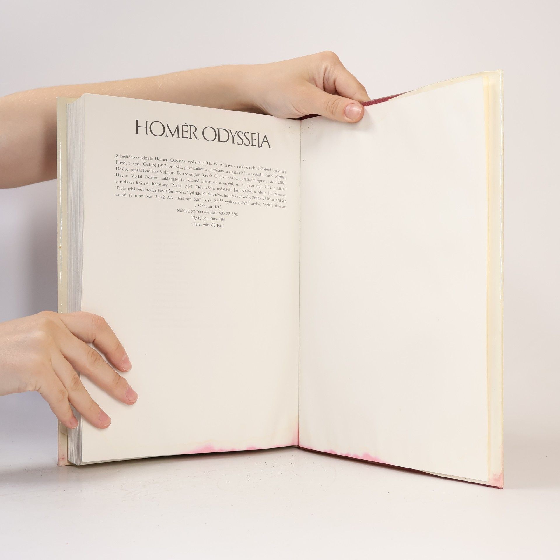 Homér Odysseia