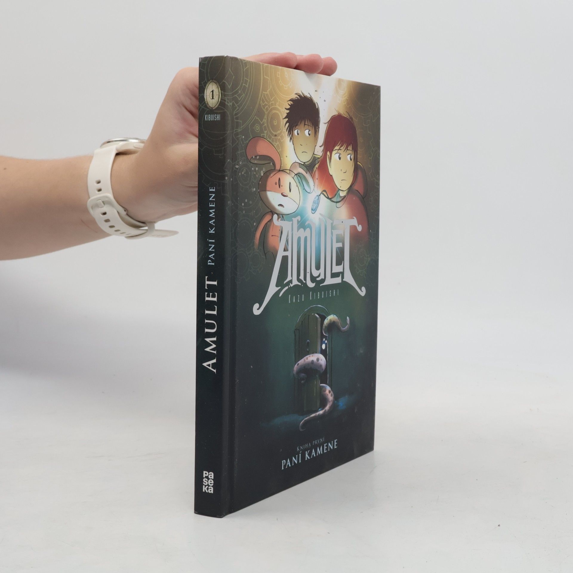 Kazu Kibuishi Paní kamene. Amulet. Kniha první
