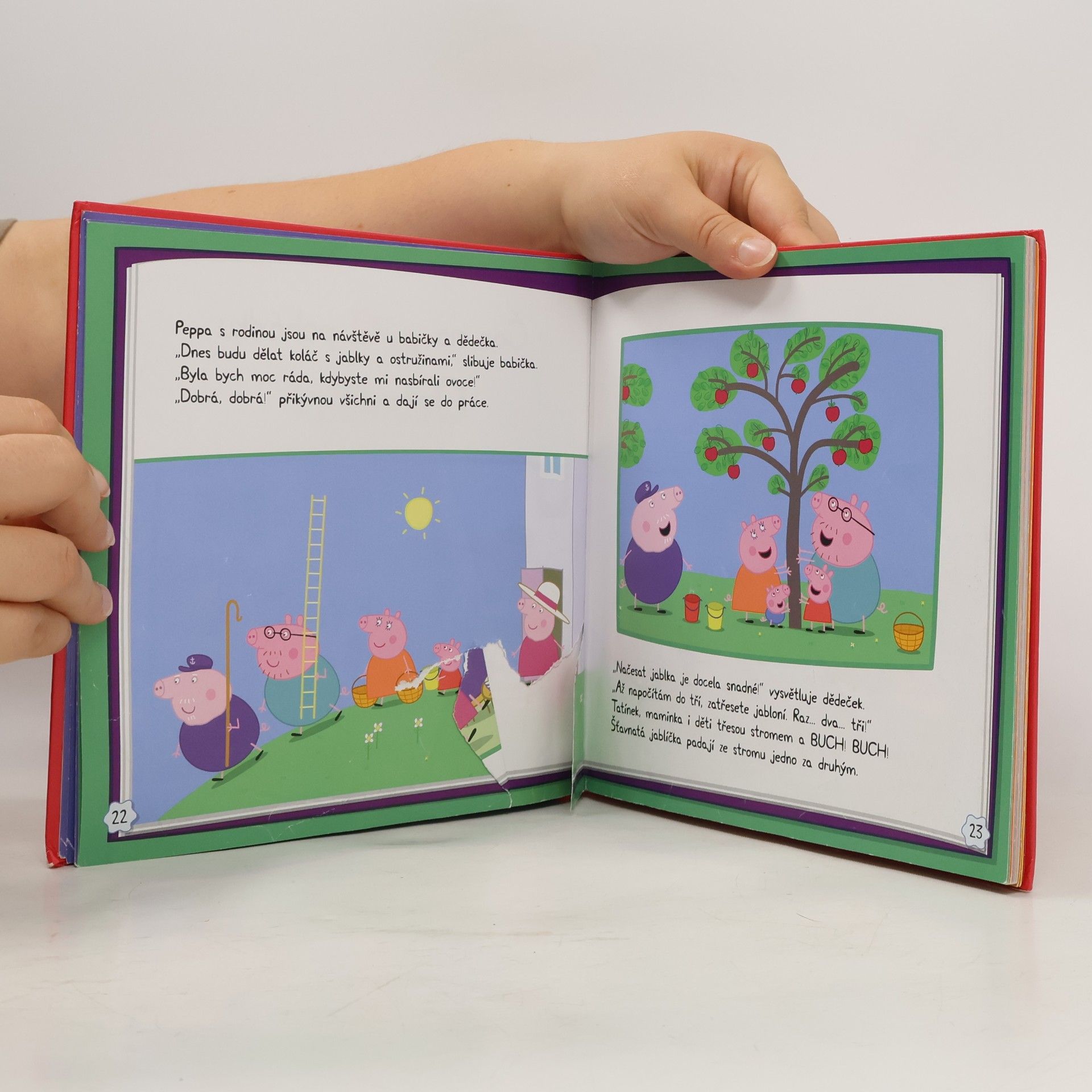 Autorenkollektiv Peppa Pig - Pohádky do postýlky