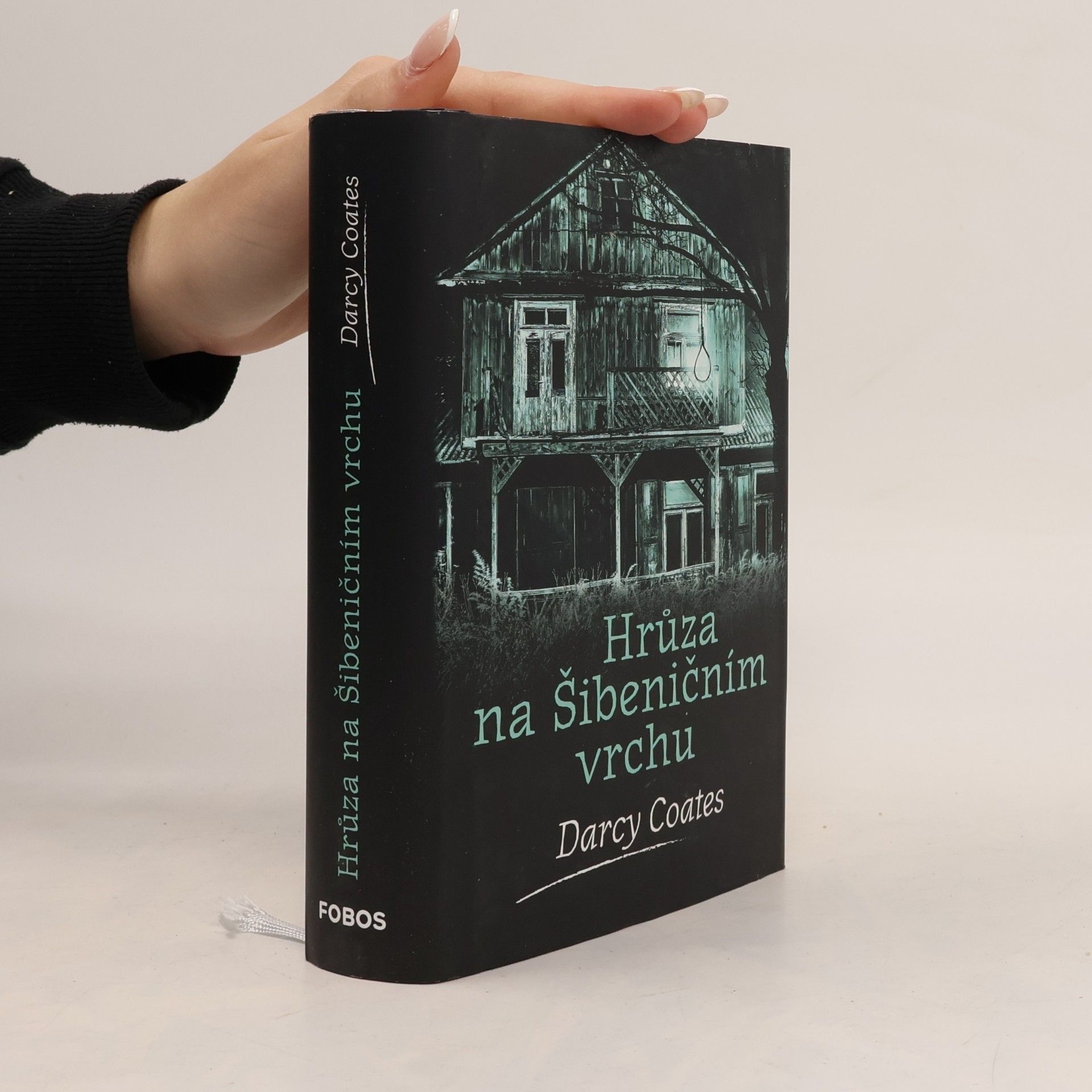 Darcy Coates Hrůza na Šibeničním vrchu