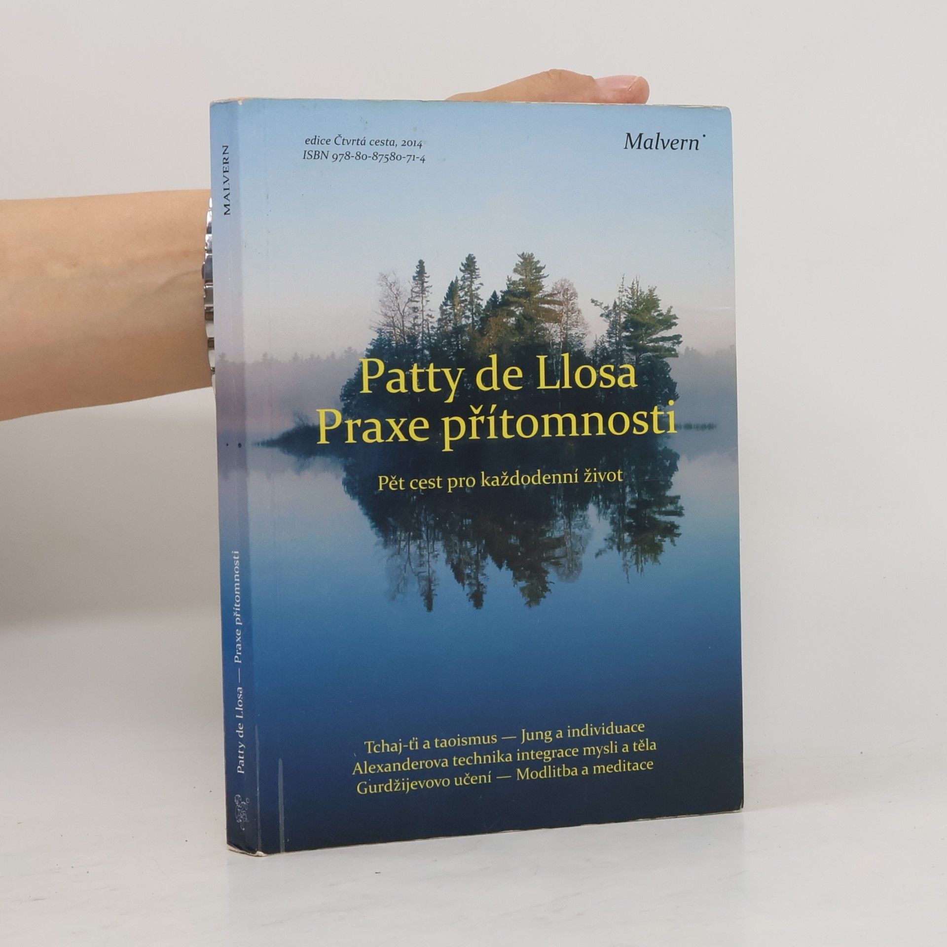 Patty de Llosa Praxe přítomnosti. Pět cest pro každodenní život