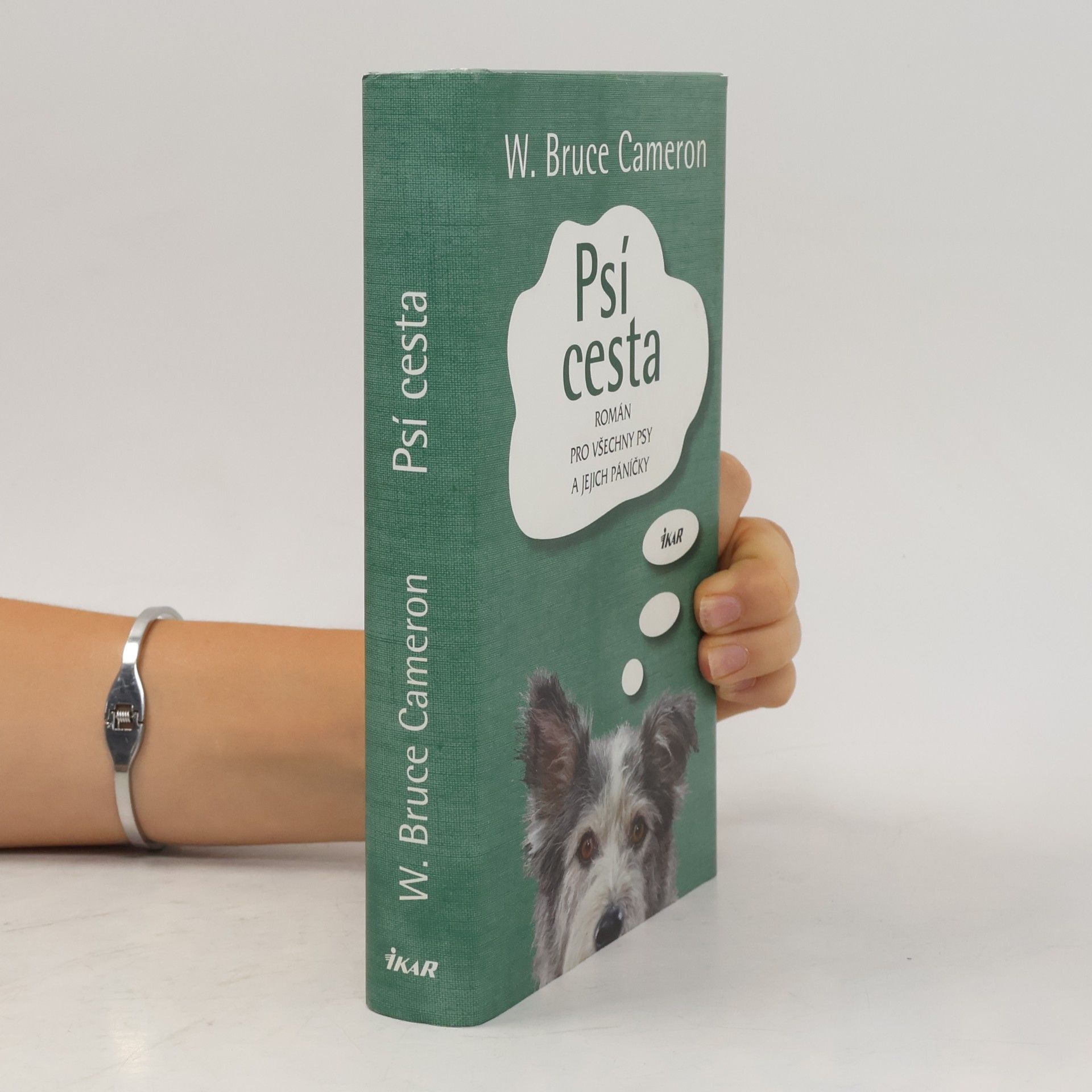 Psí cesta