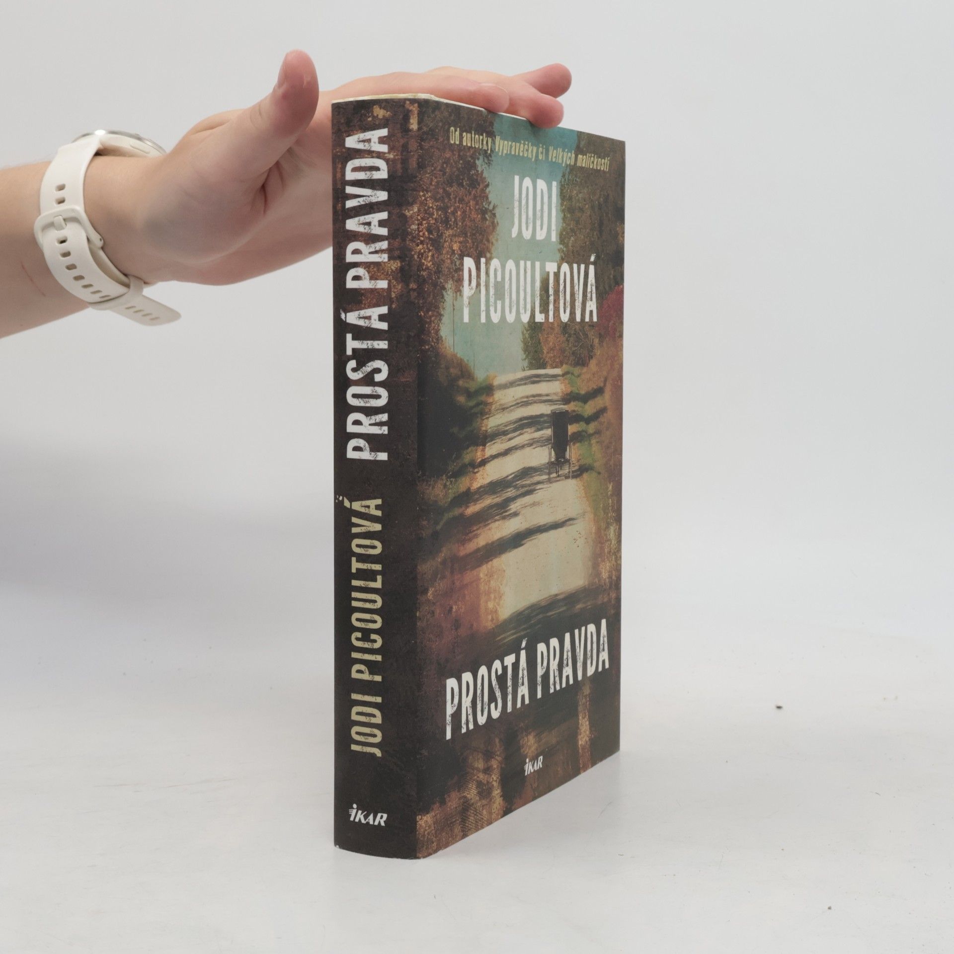 Jodi Picoult Prostá pravda
