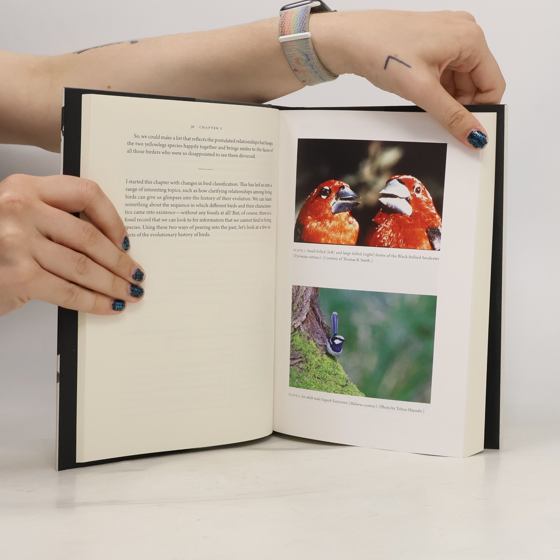 Douglas J. Futuyma How Birds Evolve