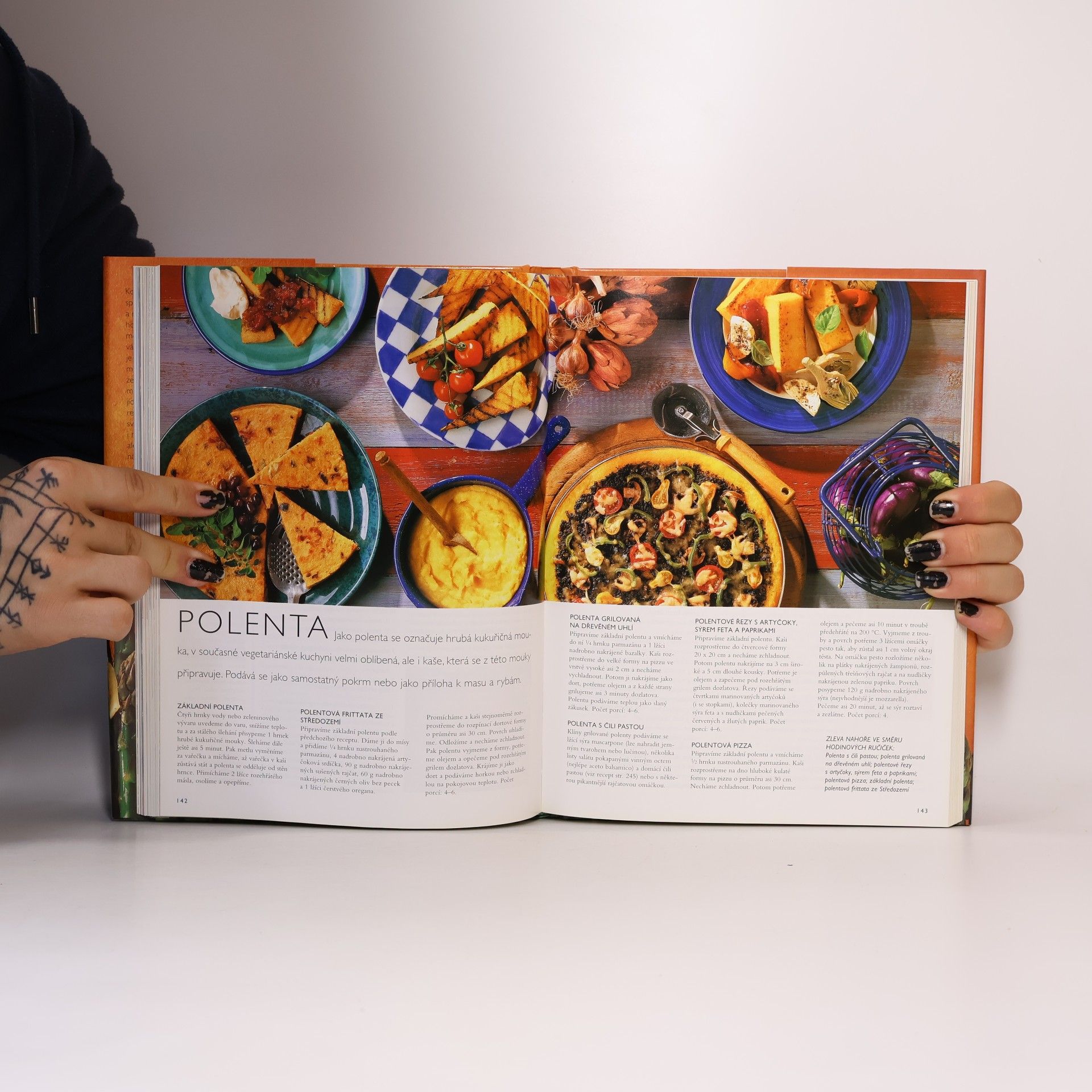 Jana Steinerová Moderní vegetariánská kuchařka