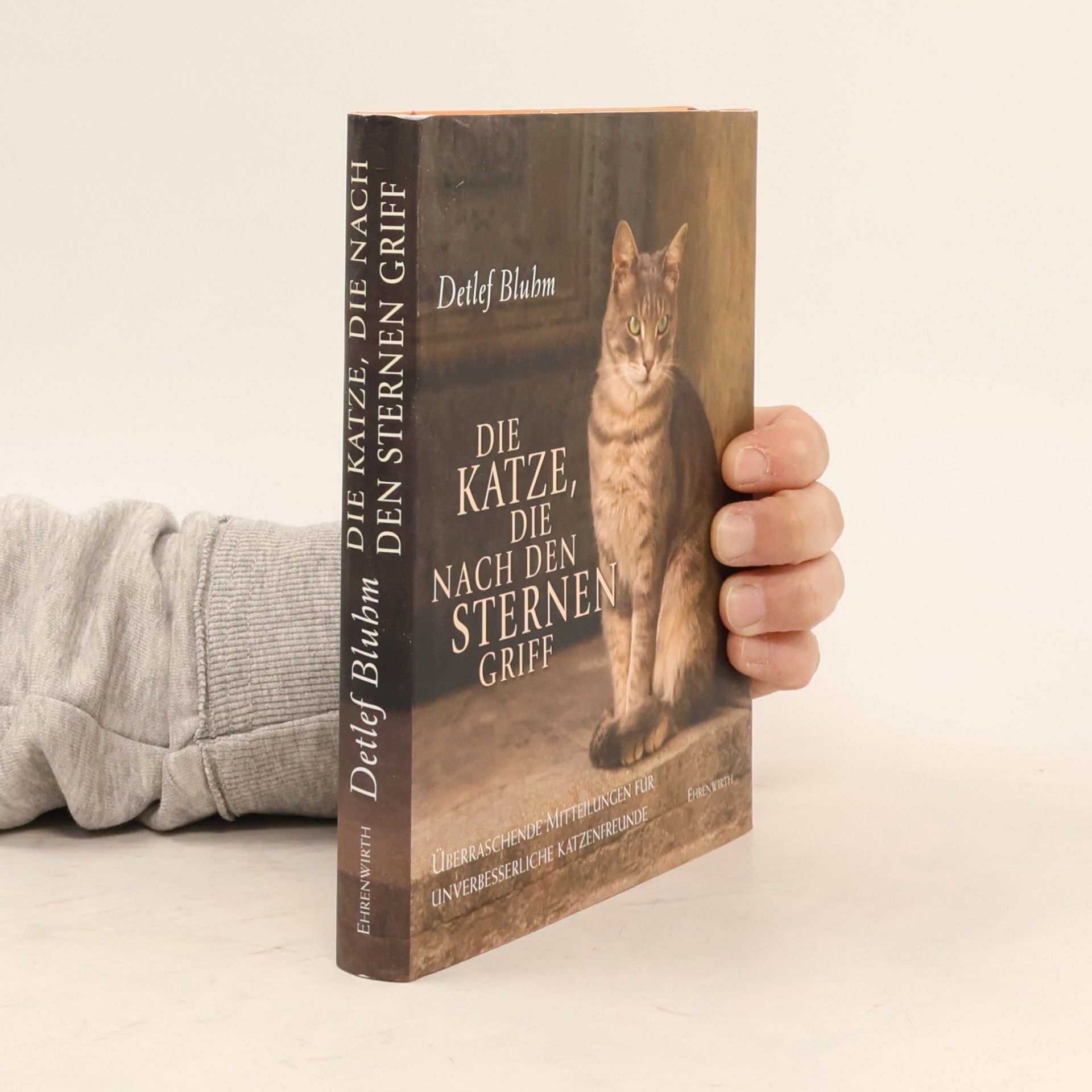 Detlef Bluhm Die Katze, die nach den Sternen griff
