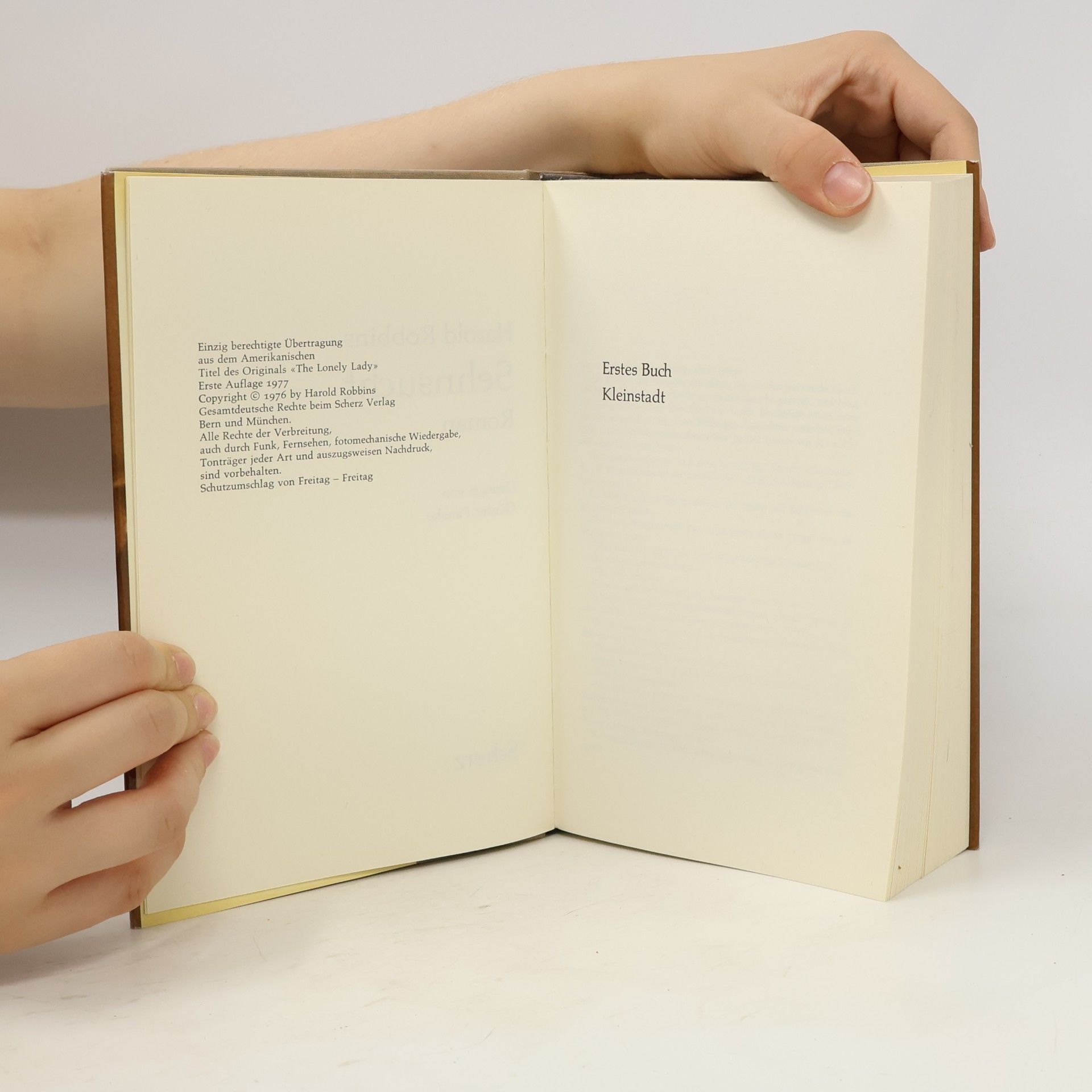 Harold Robbins Sehnsucht