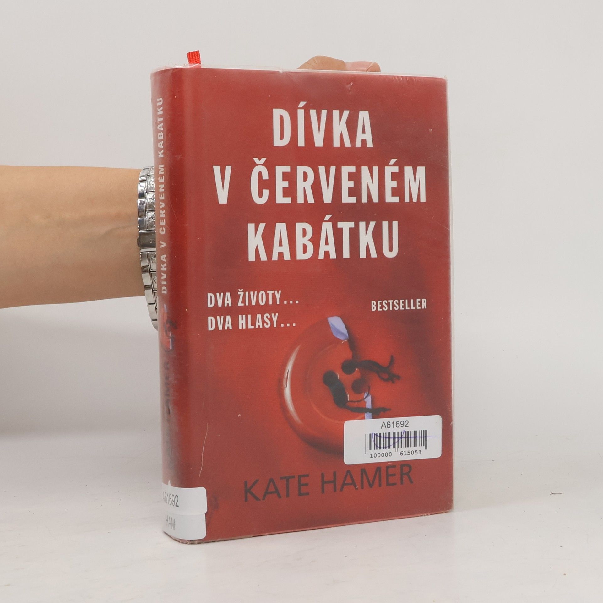 Kate Hamer Dívka v červeném kabátku