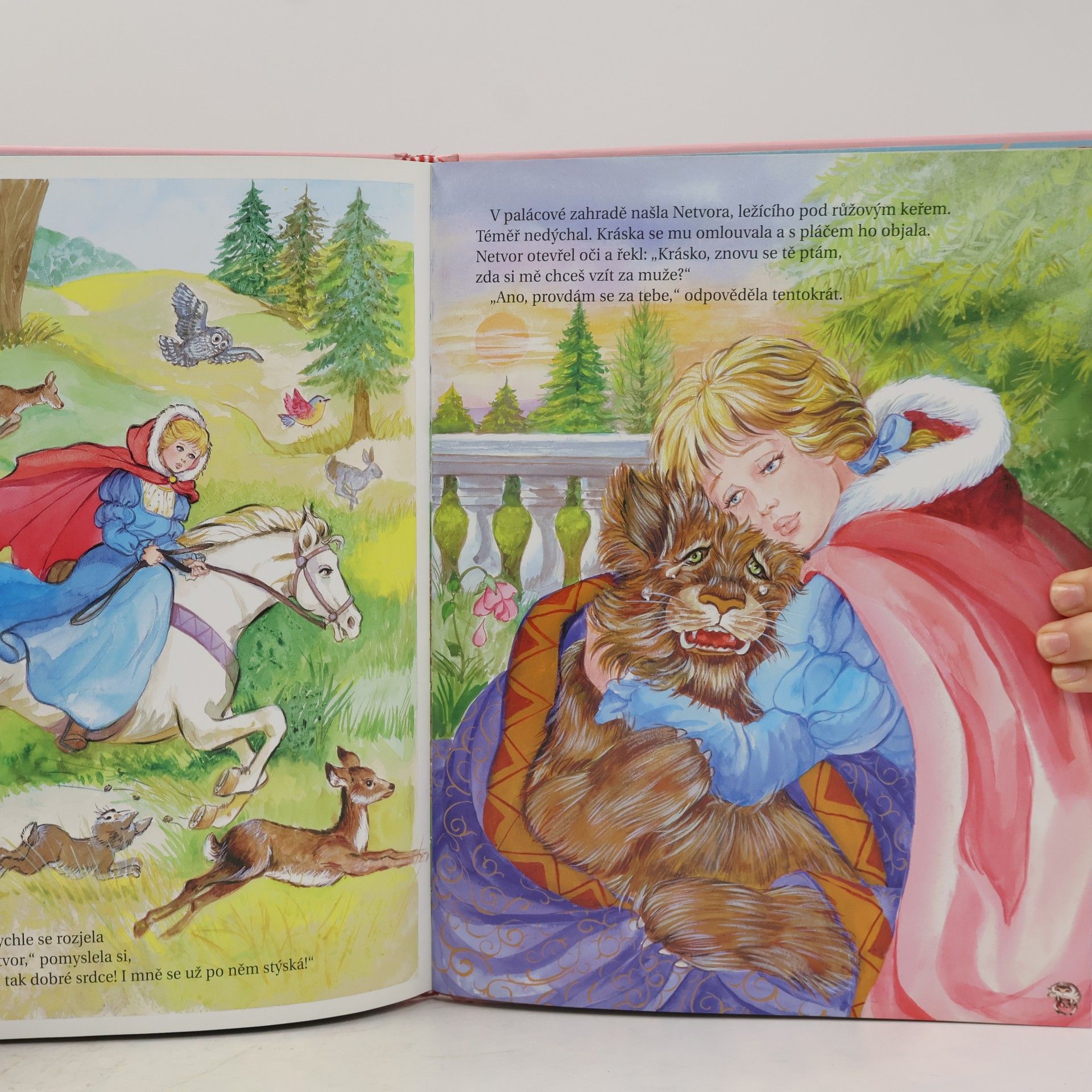 Kolektiv autorů Pohádky o princeznách