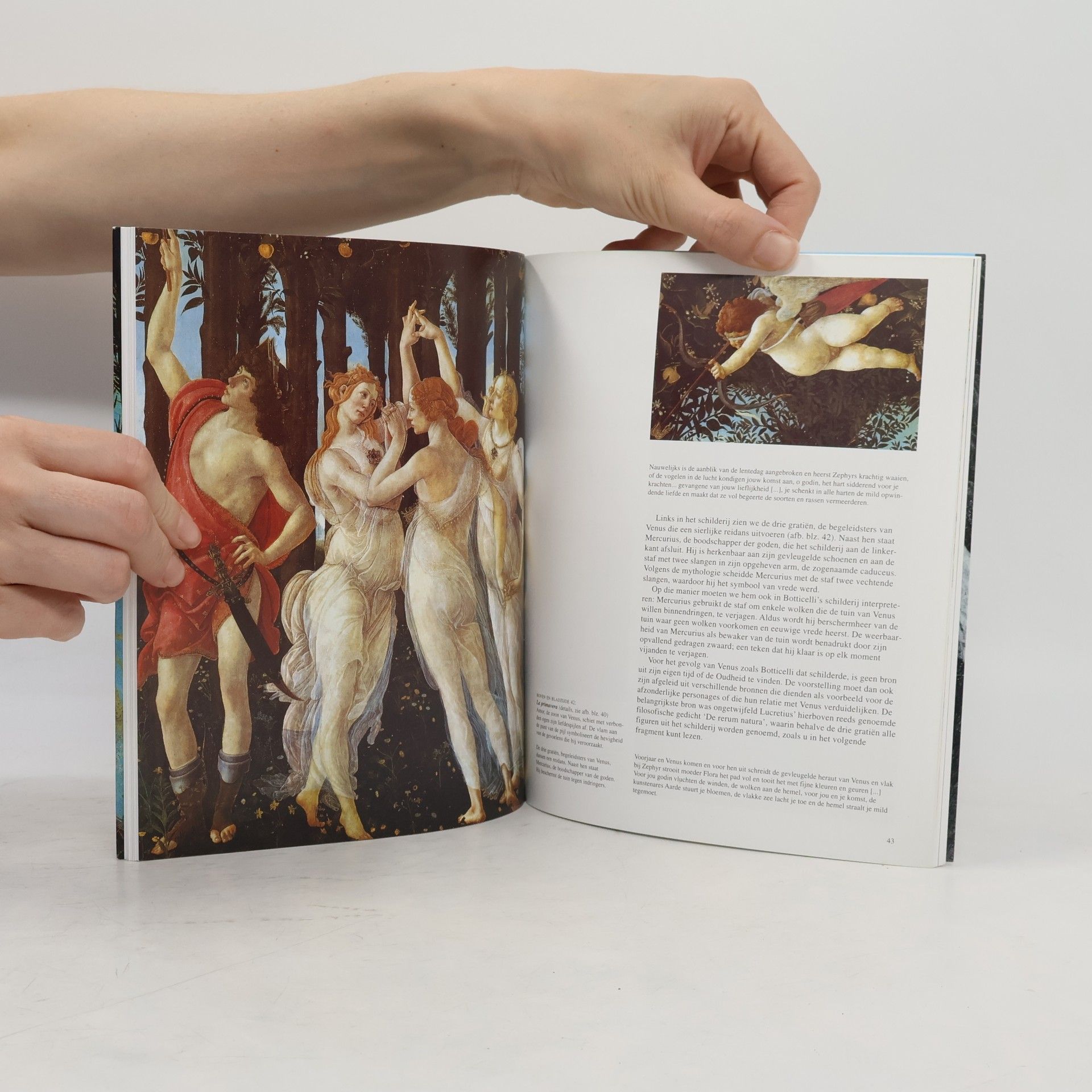 Barbara Deimling Botticelli. Holländische Ausgabe