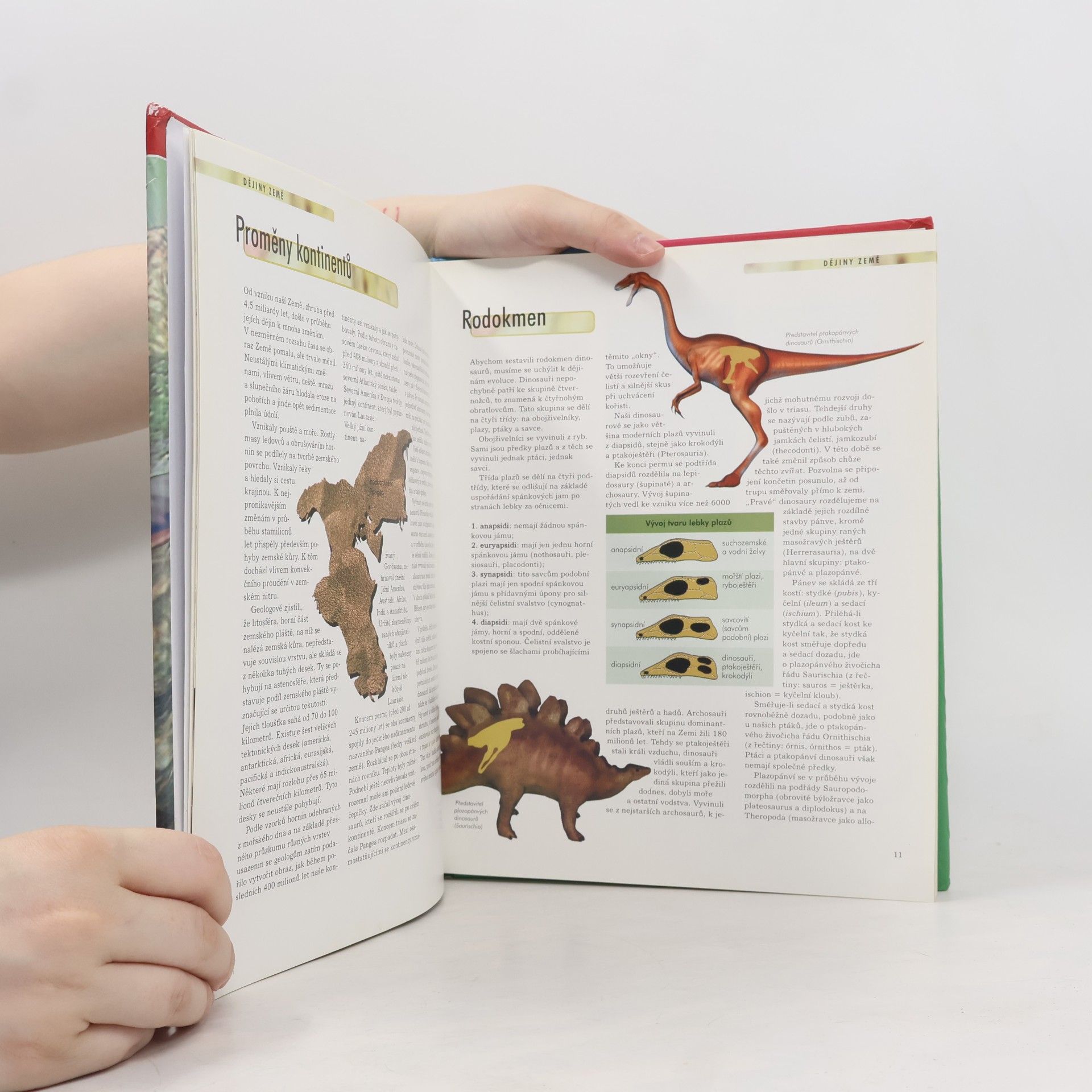 Autorenkollektiv Dinosauři