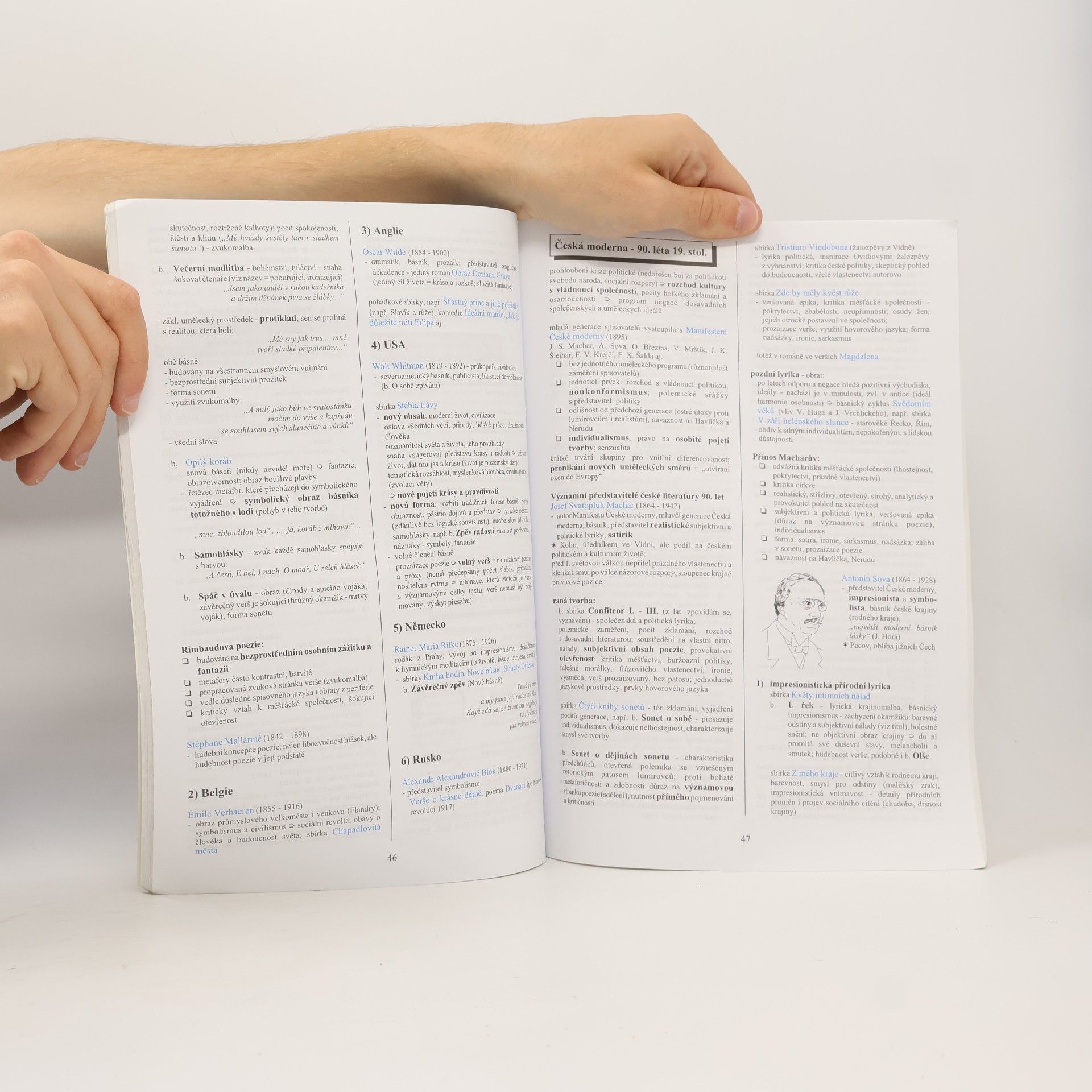 Marie Sochrová Literatura v kostce: Pro střední školy