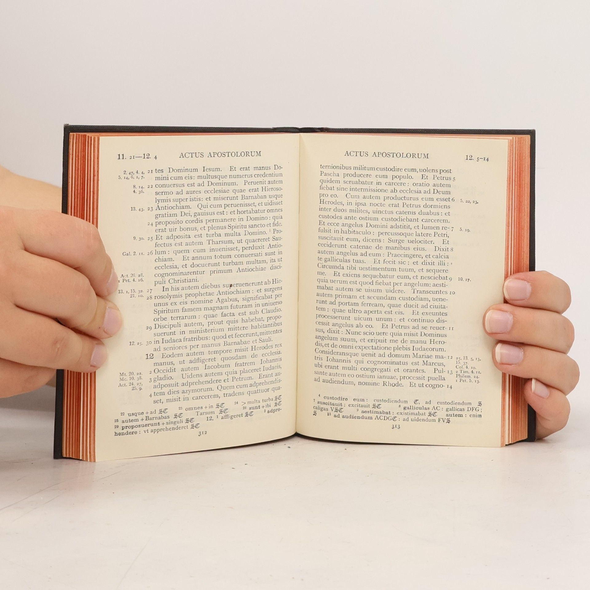 AA.VV. Nouum Testamentum Latine