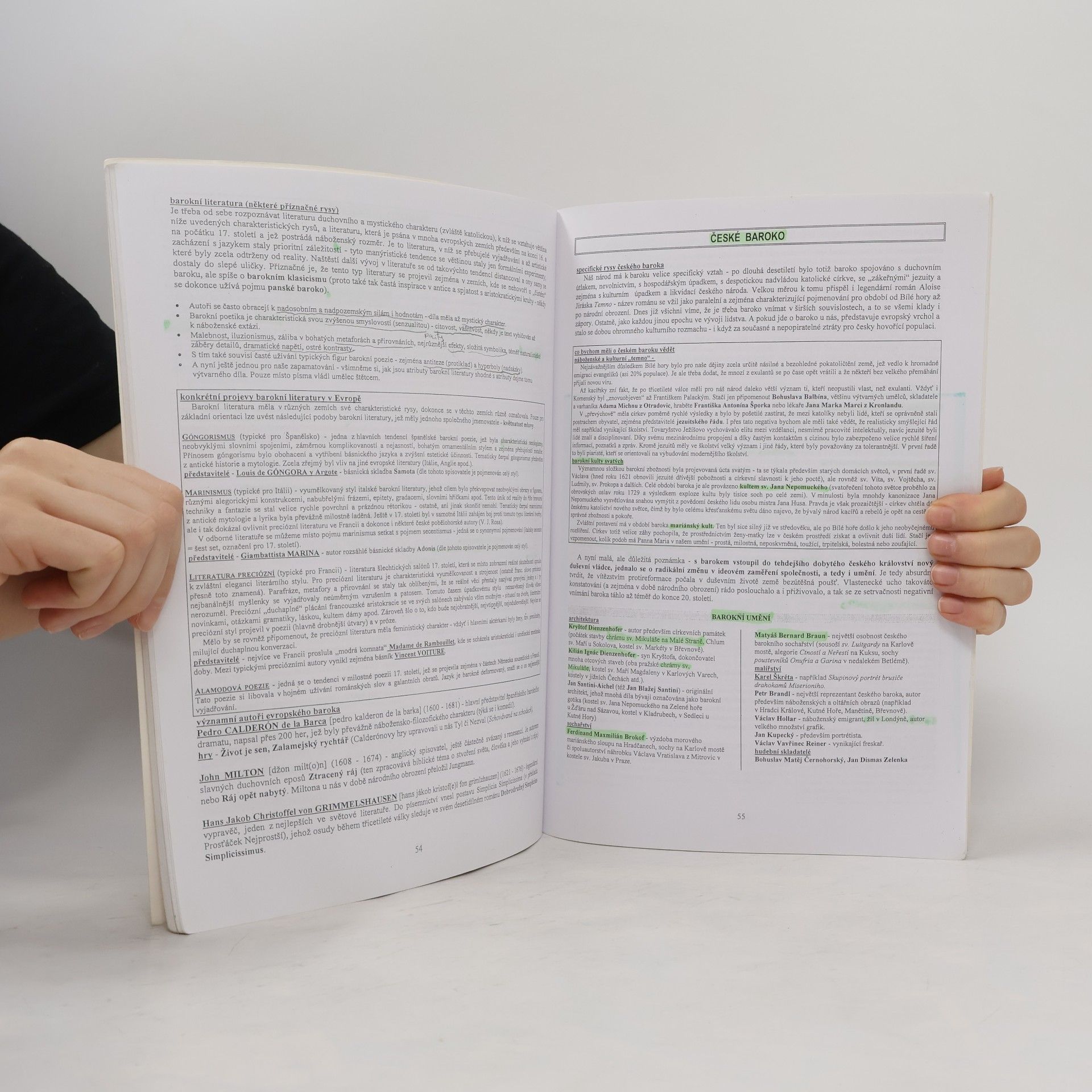 Vladimír Prokop Dějiny literatury od starověku do počátku 19. století