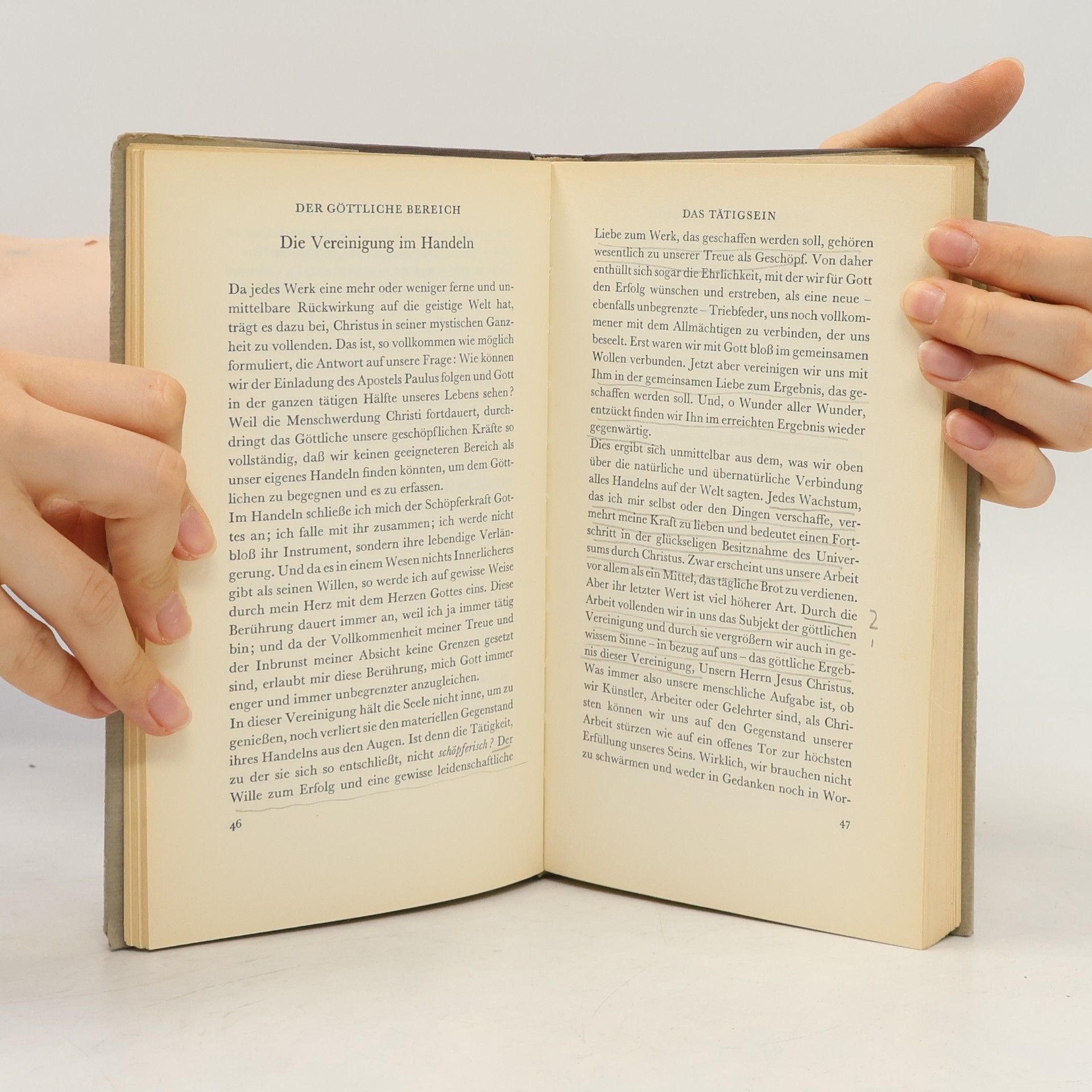 Teilhard de Chardin Der Göttliche Bereich