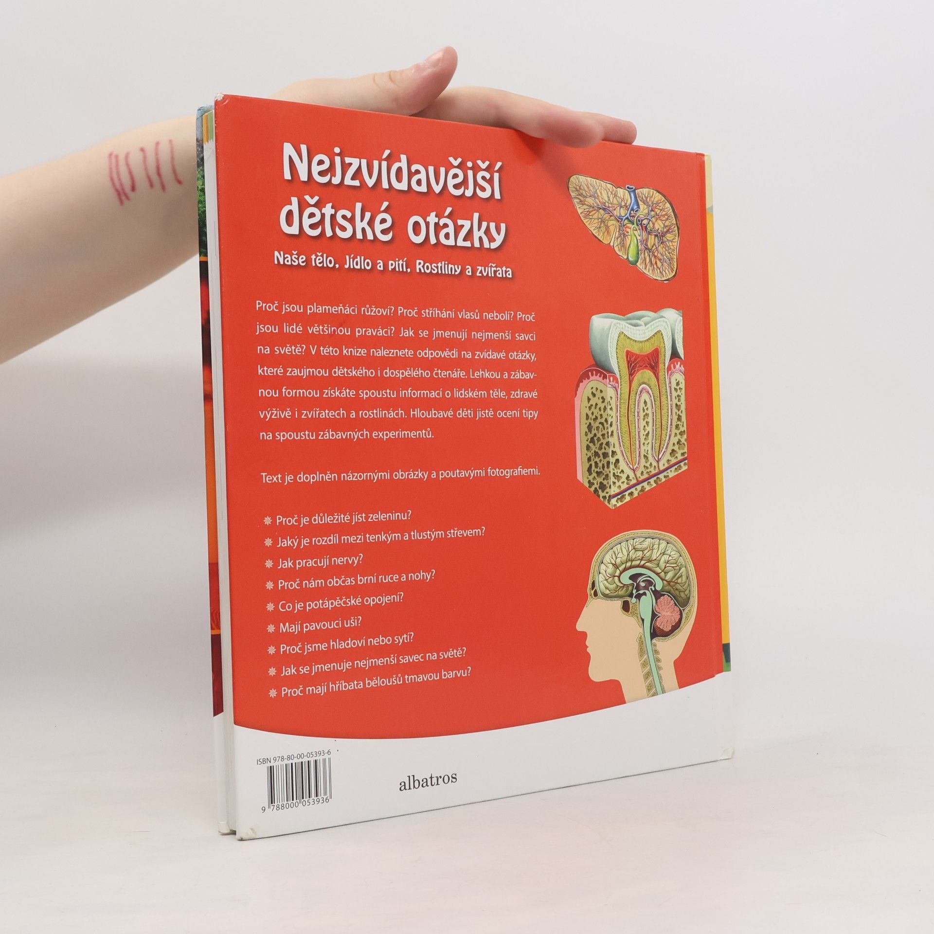Kolektiv autorů Nejzvídavější dětské otázky