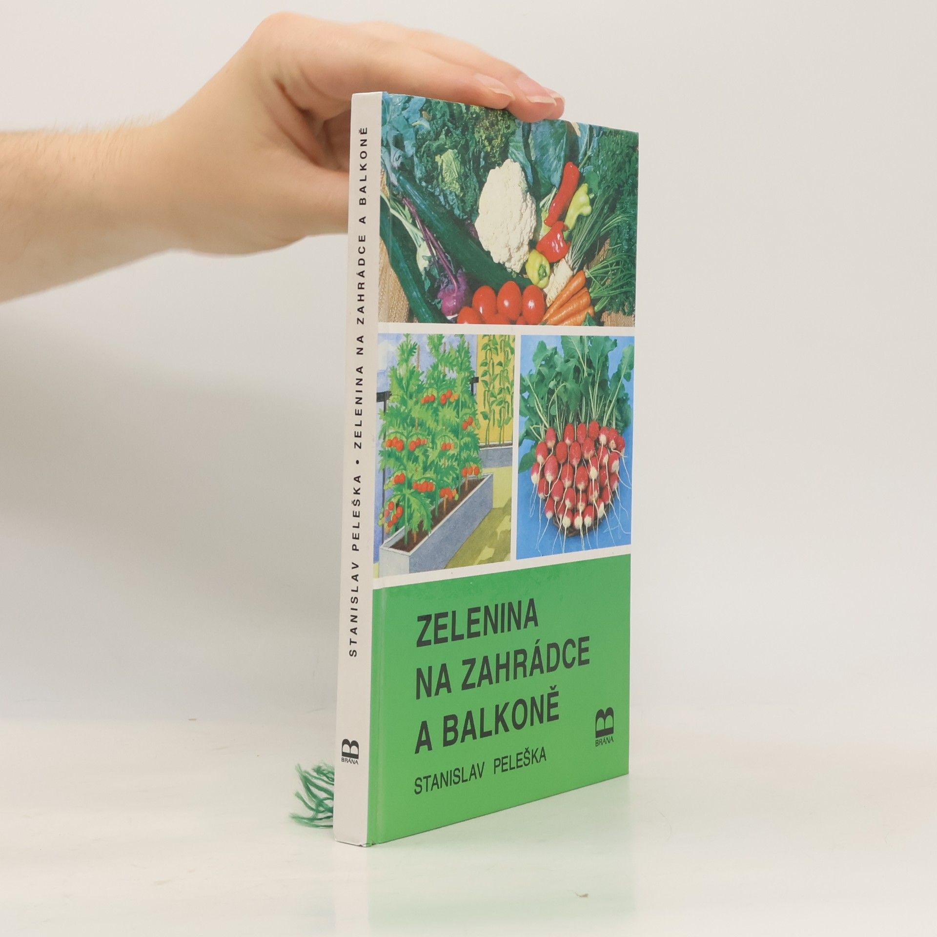 Zelenina na zahrádce a balkoně
