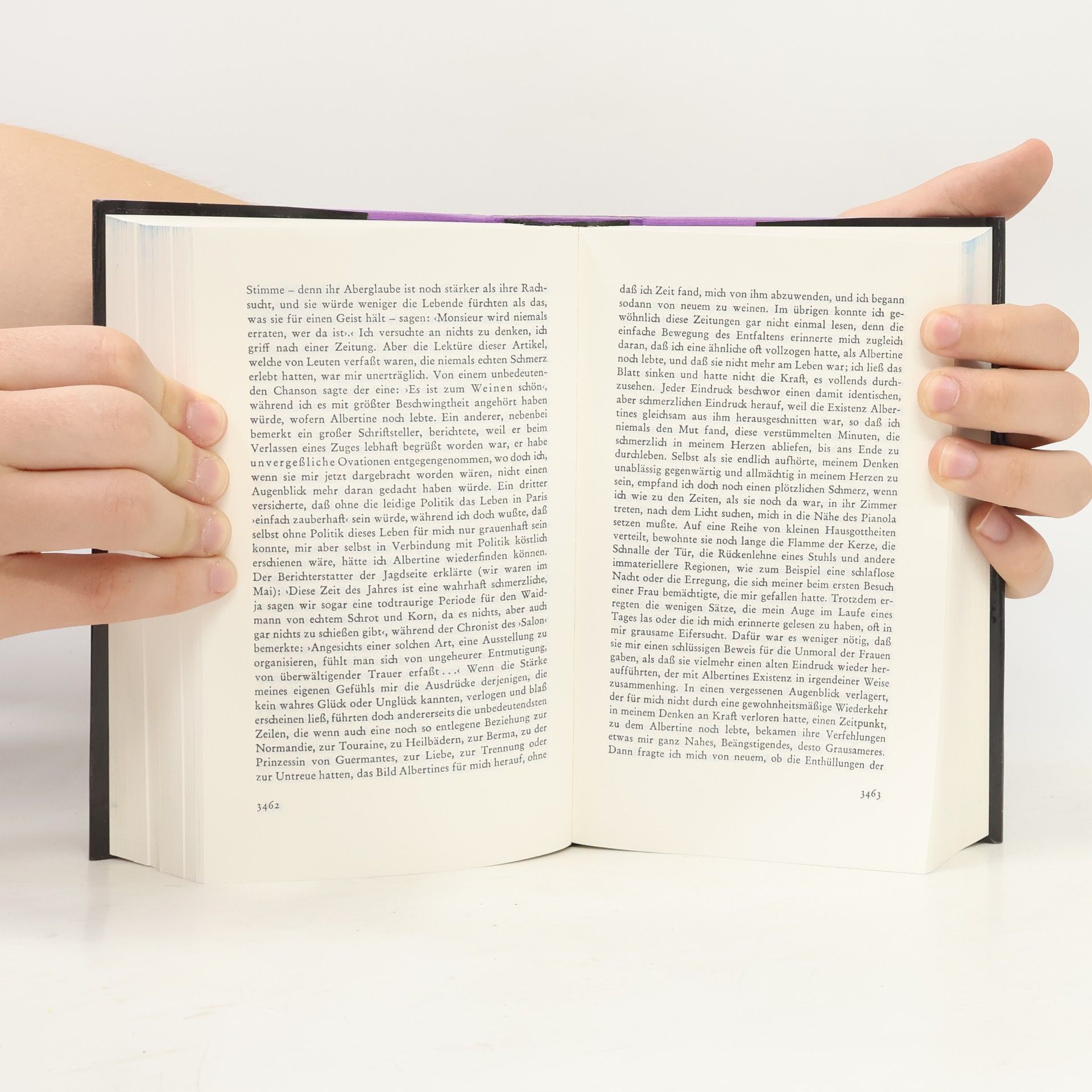 Marcel Proust Auf der Suche nach der verlorenen Zeit 3