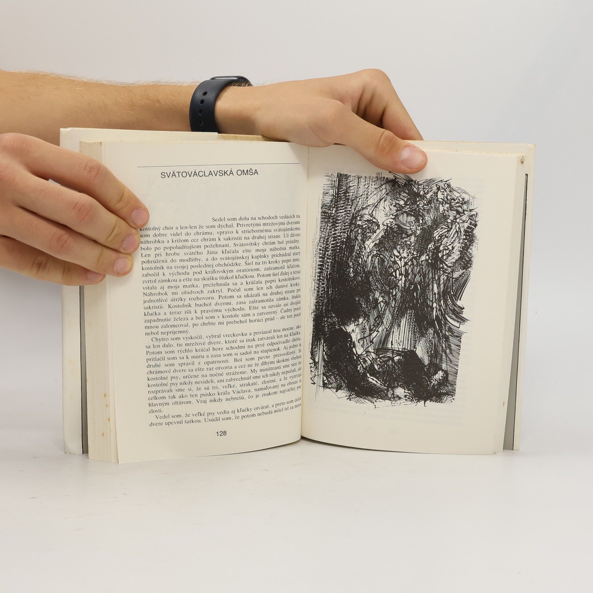 Jan Neruda Malostranské poviedky
