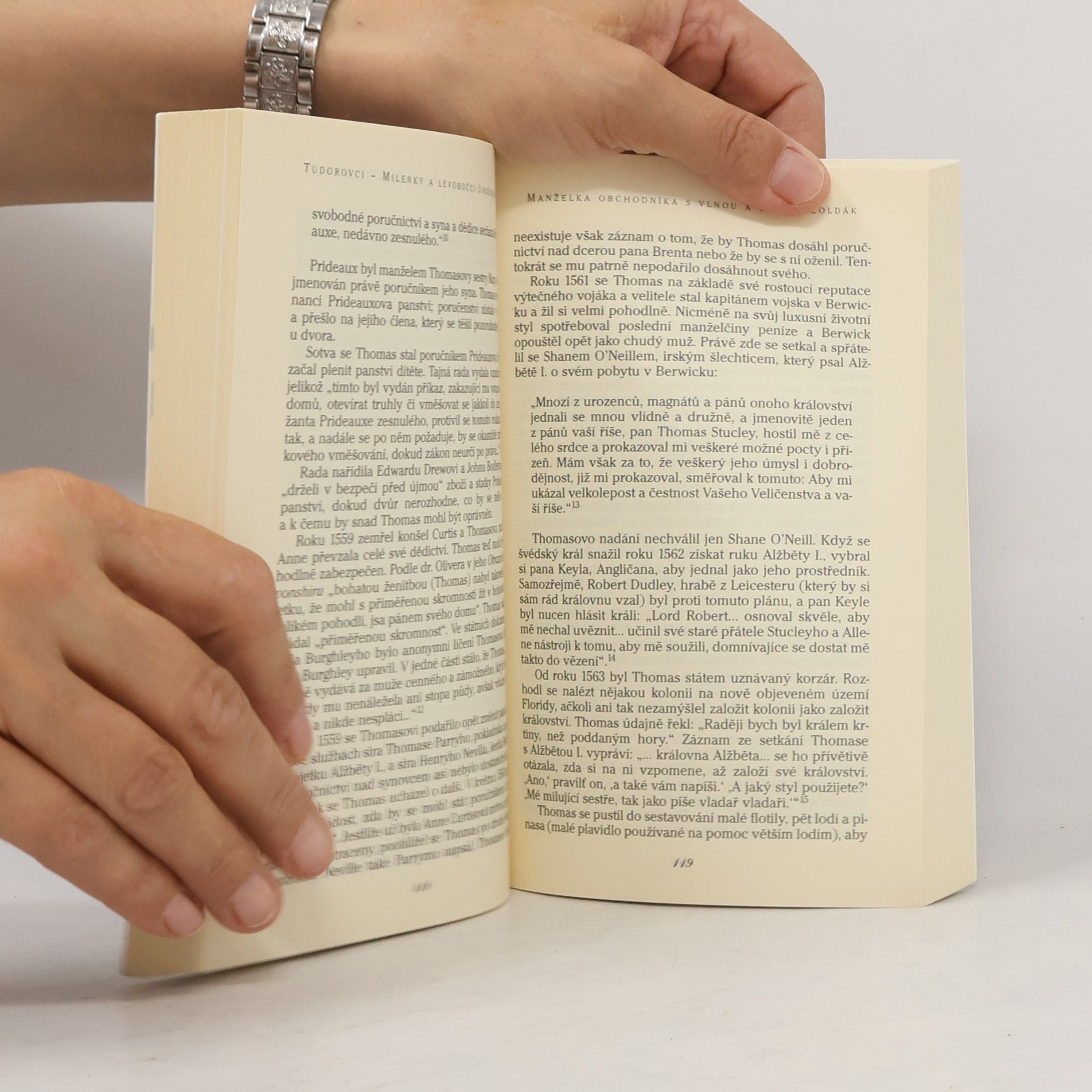 Pip Jones Tudorovci: Milenky a levobočci Jindřicha VIII.