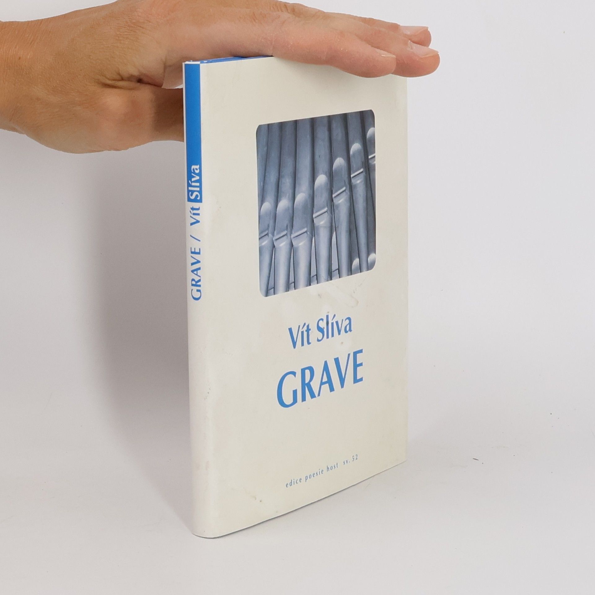 Vít Slíva Grave