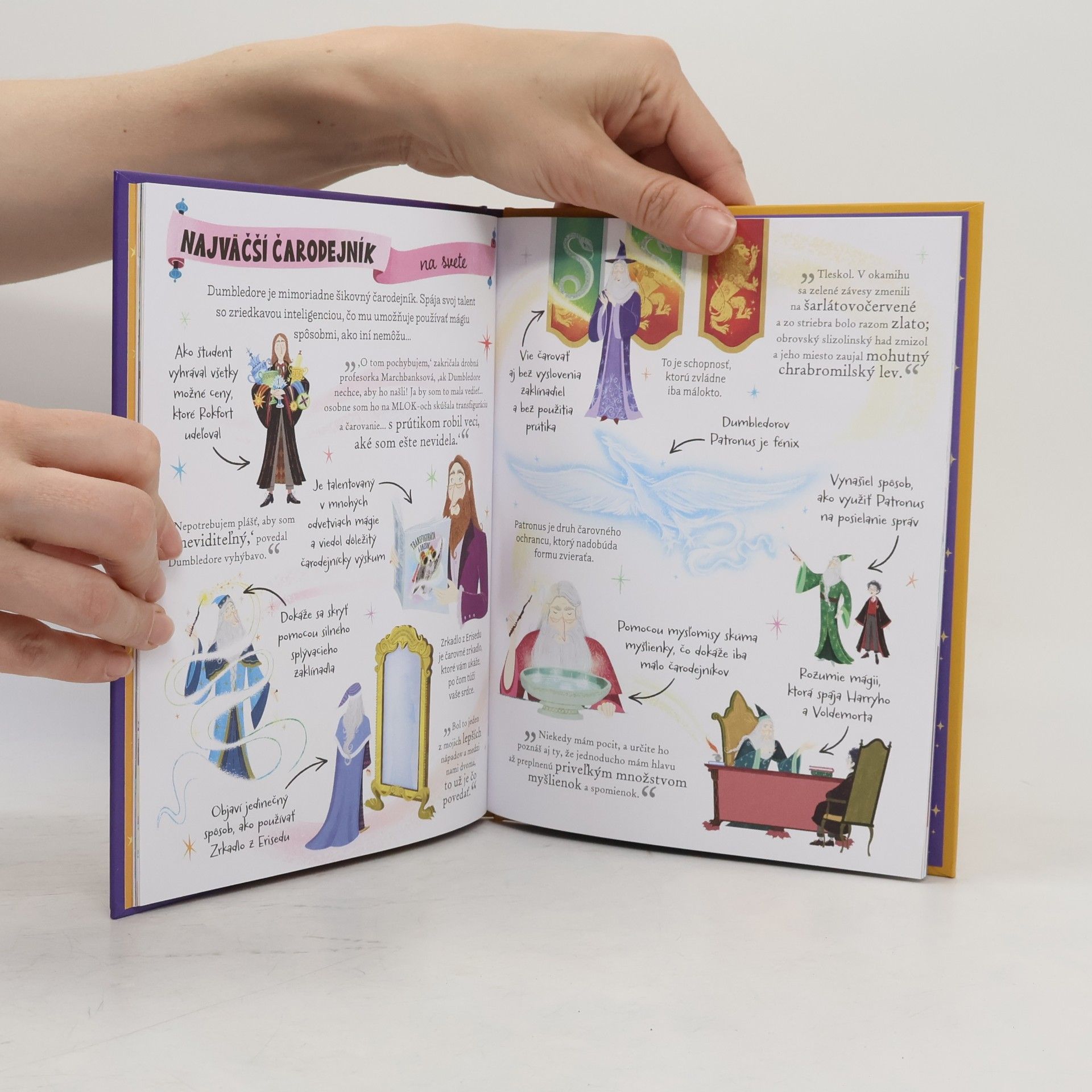 J. K. Rowling Mini Potterovky: Profesor Dumbledore