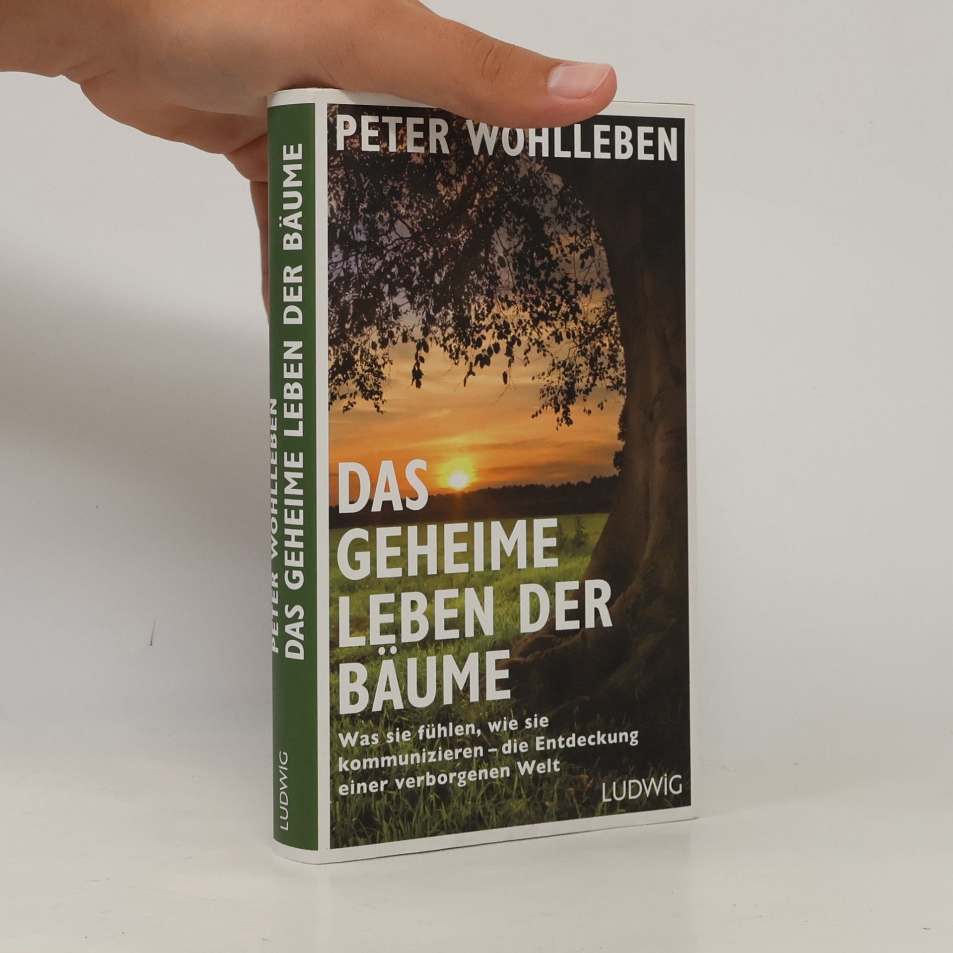Das geheime Leben der Bäume