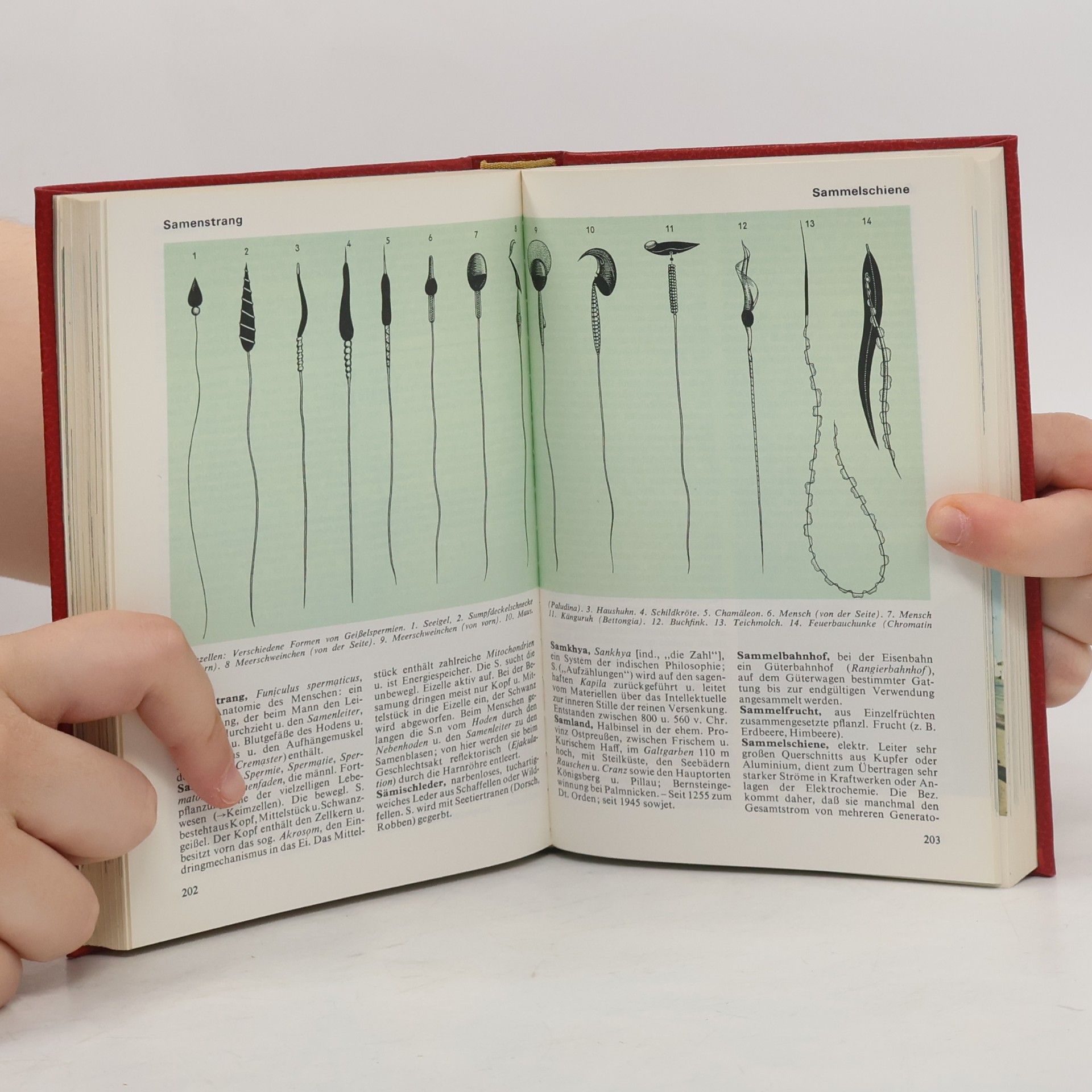 Auteurscollectief Das moderne Lexikon 16. Rohb-Schul
