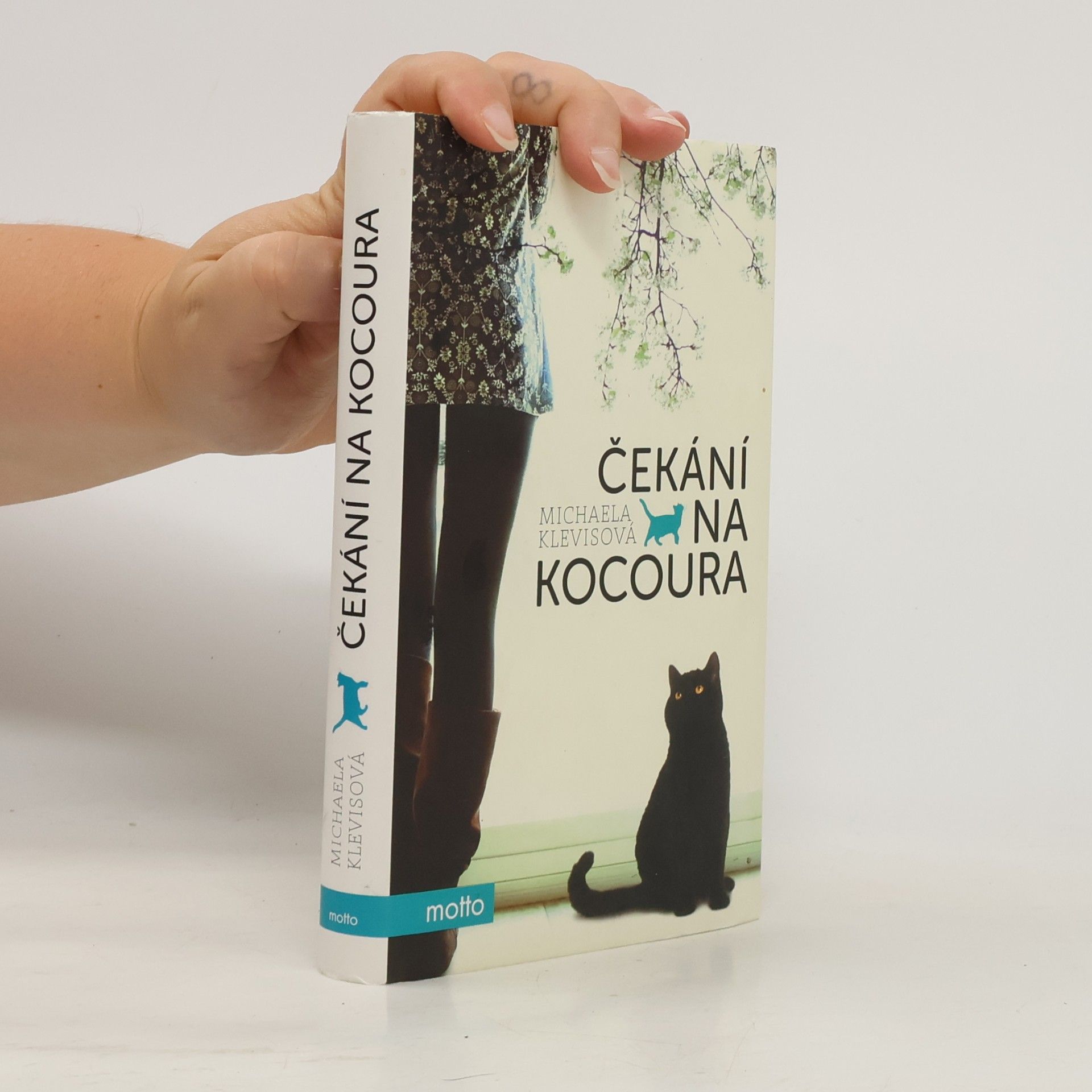 Michaela Klevisová Čekání na kocoura: Příběhy o kočkách a jejich lidech