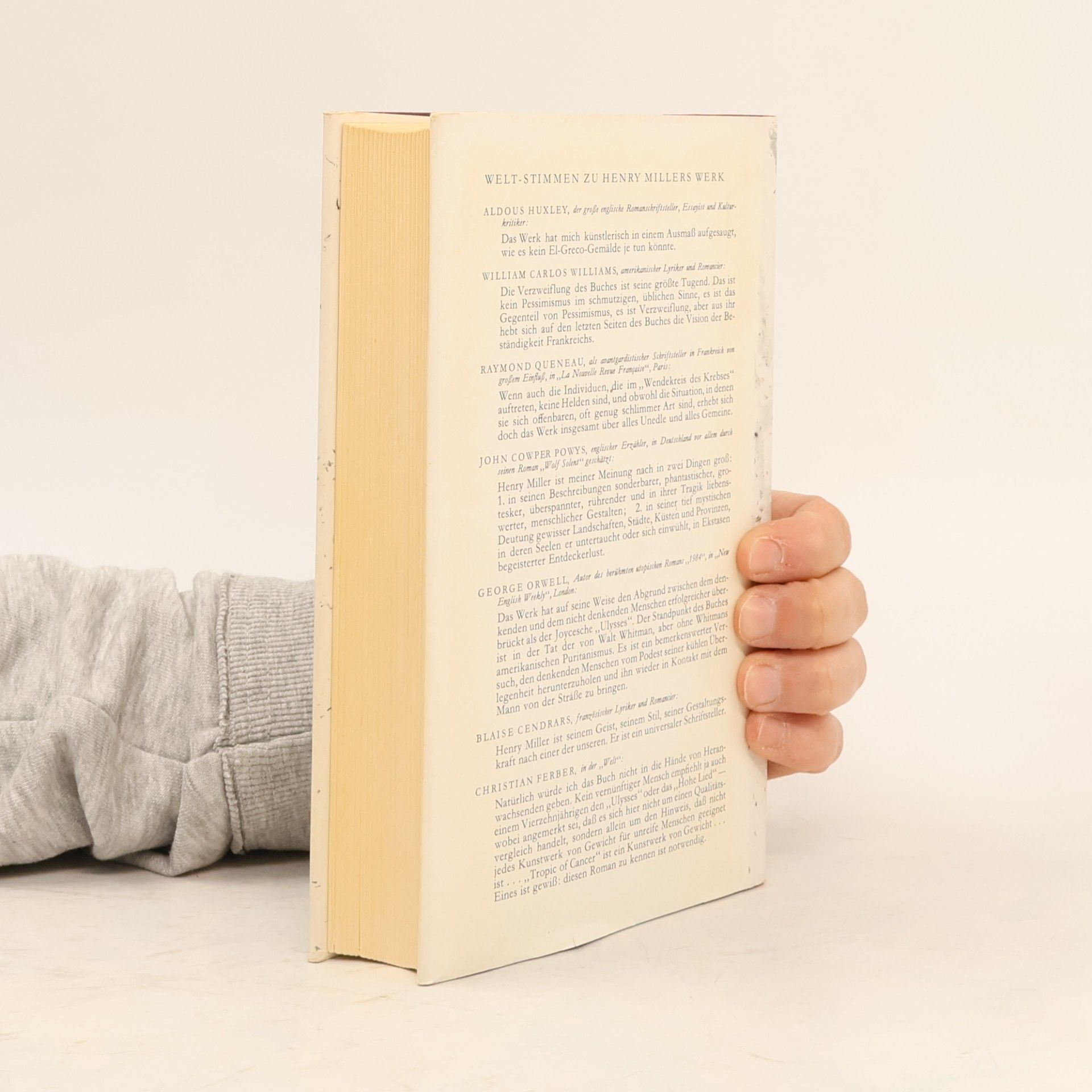 Henry Miller Wendekreis des Krebses