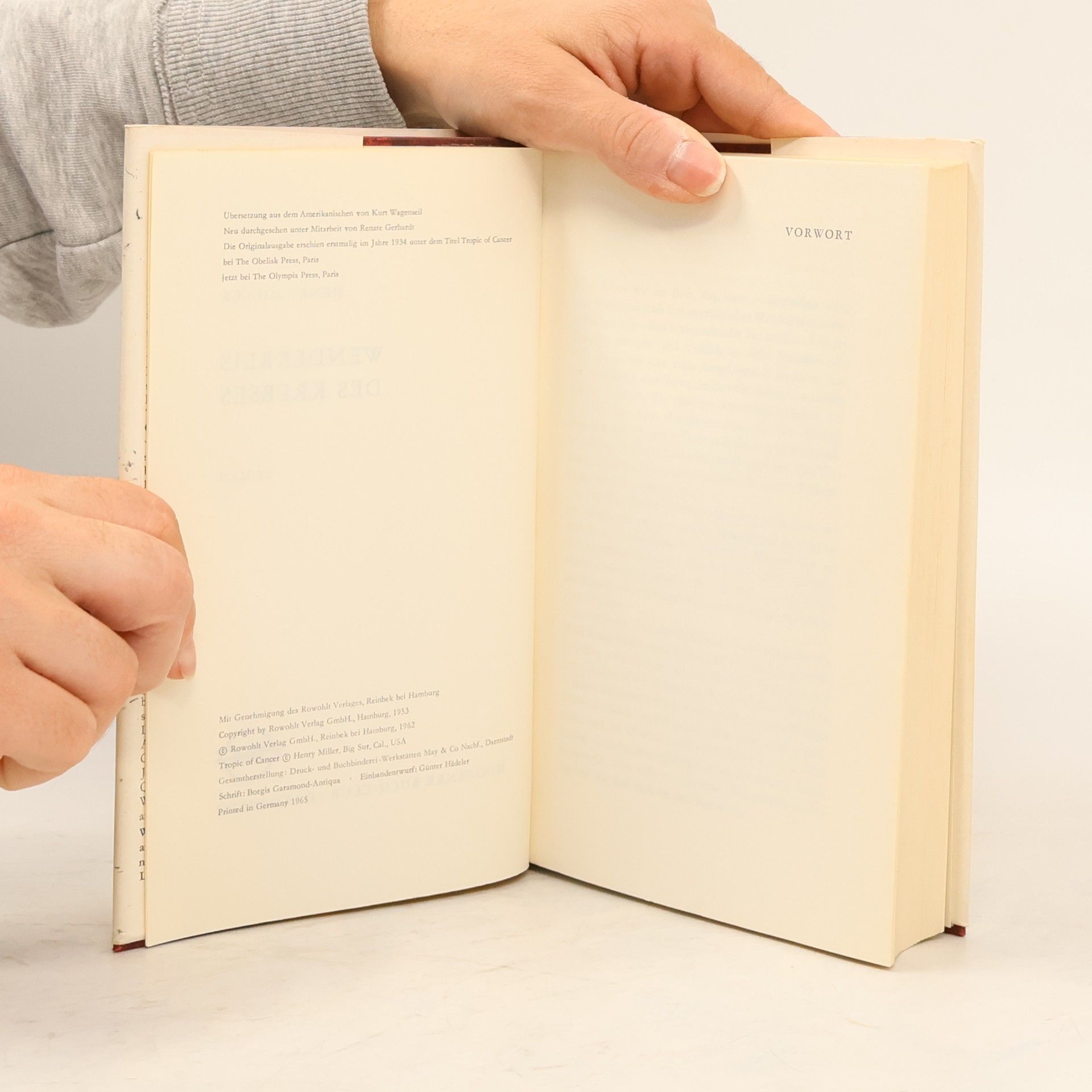 Henry Miller Wendekreis des Krebses